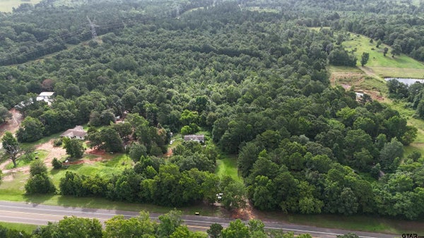 15875 STATE HIGHWAY 135 S, OVERTON, TX 75684 - Image e111b461e800f005db20fa54586790c4/3640020767