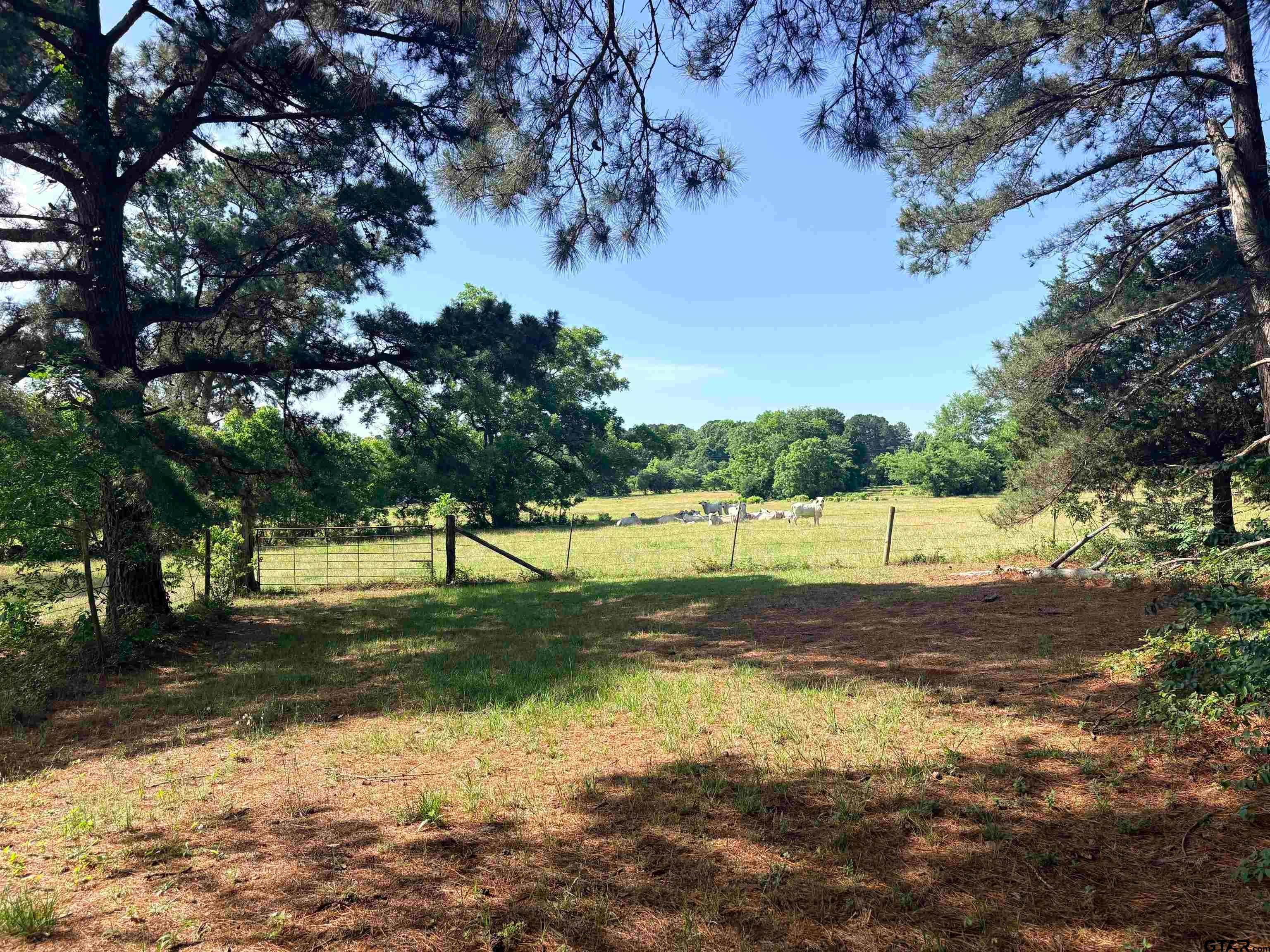 22173 HIGHWAY 135