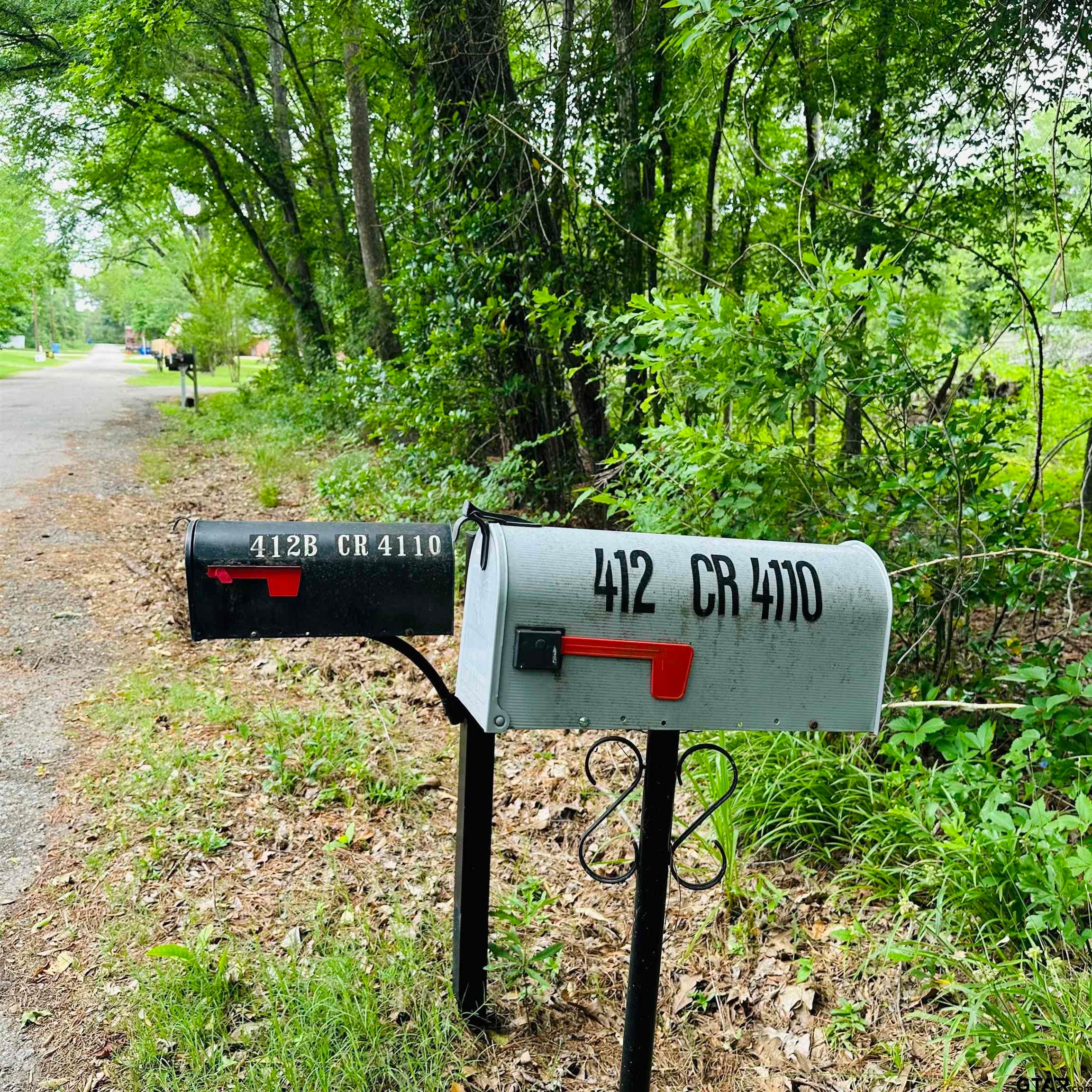 412 County Road 4110