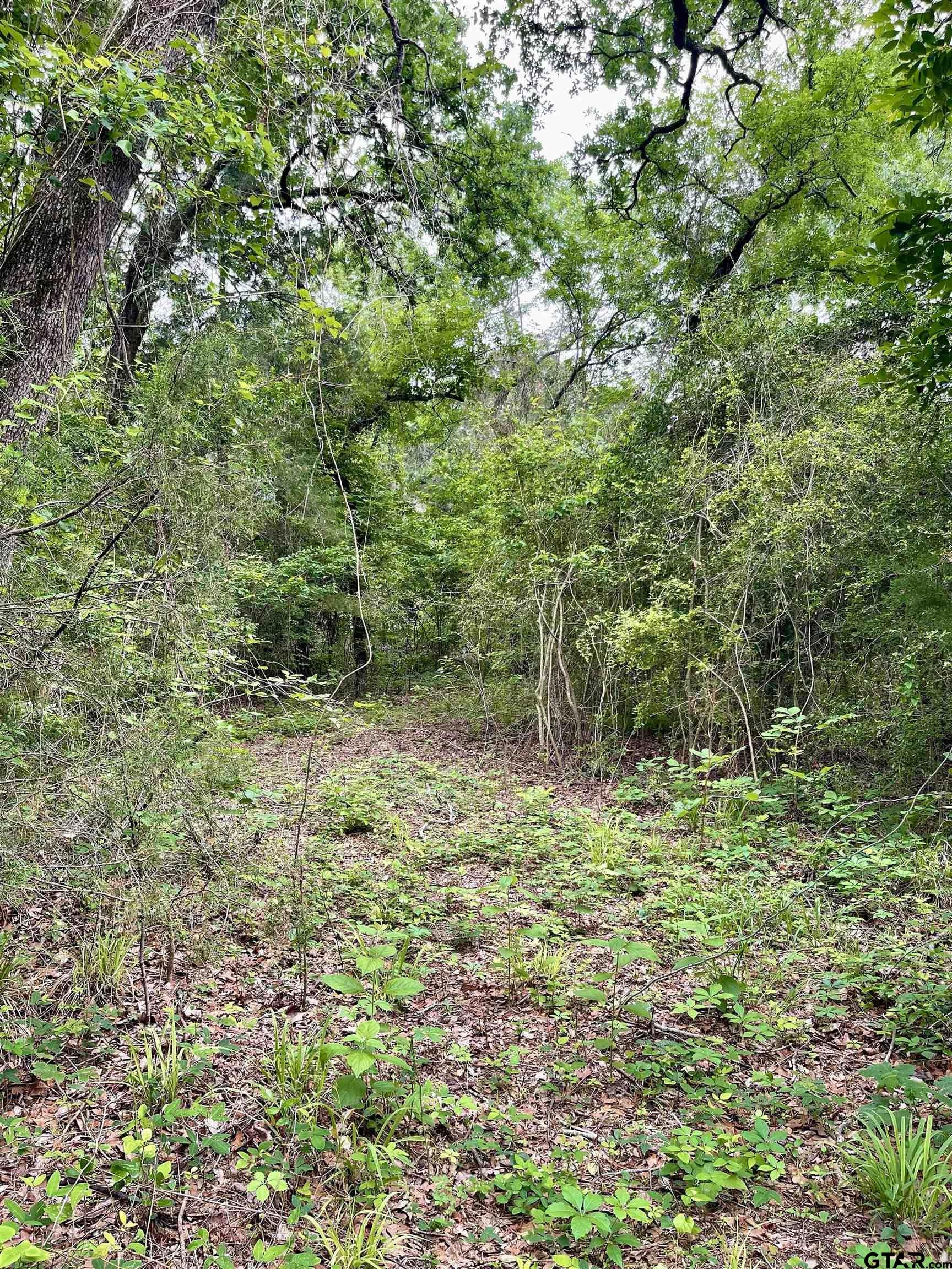 TBD County Road 1147