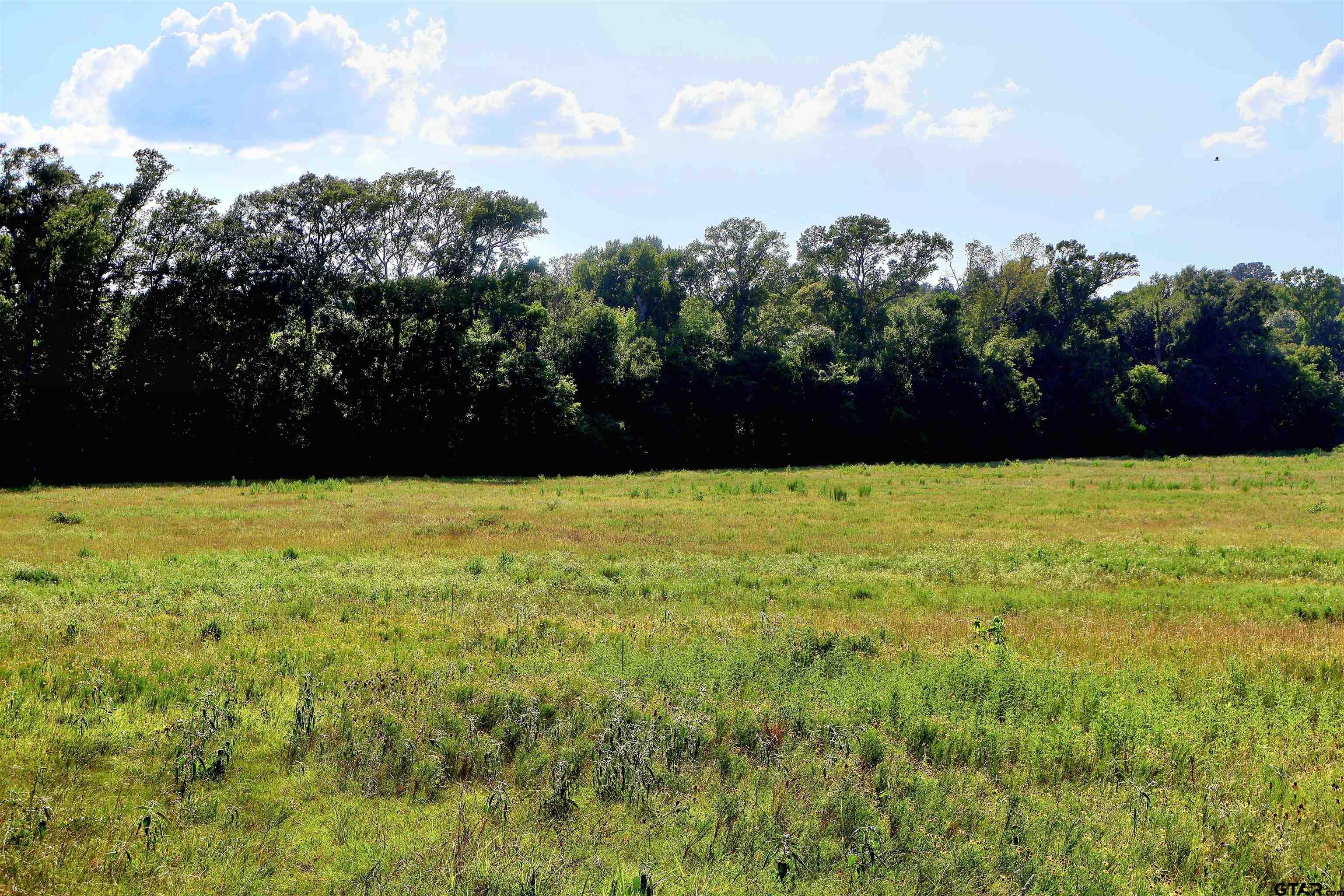 TBD COUNTY ROAD 1106