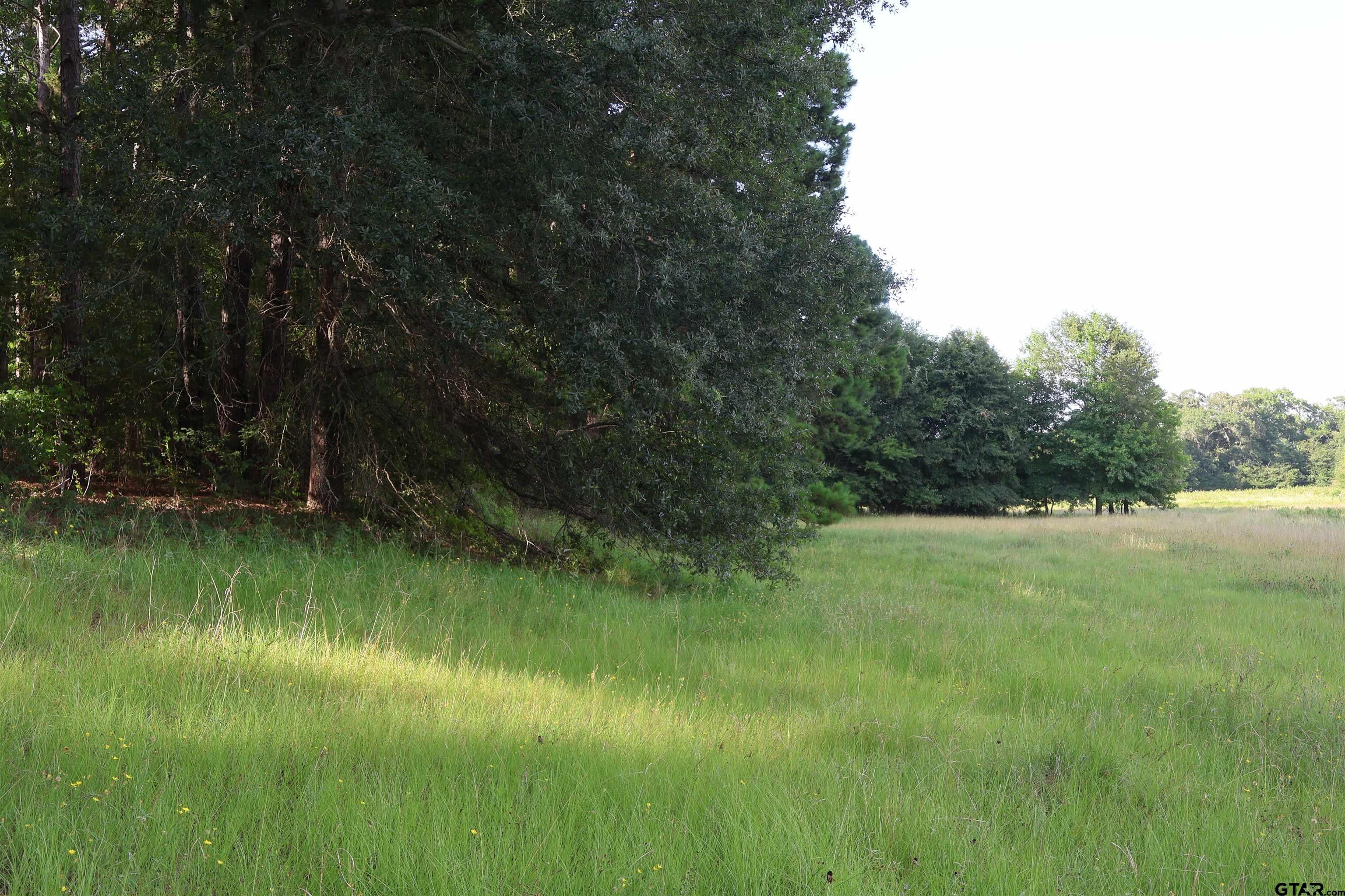 TBD COUNTY ROAD 1100