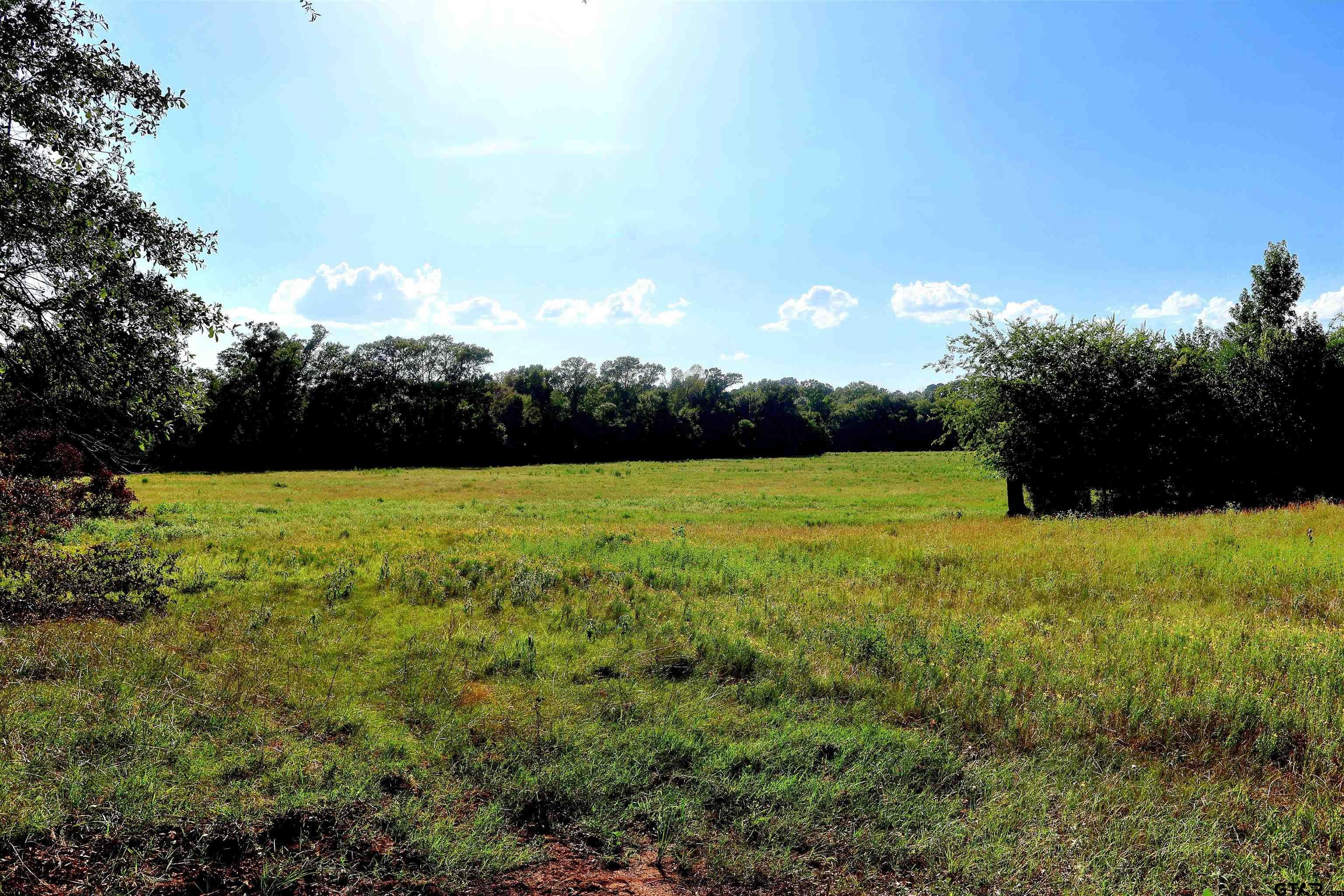 TBD COUNTY ROAD 1106