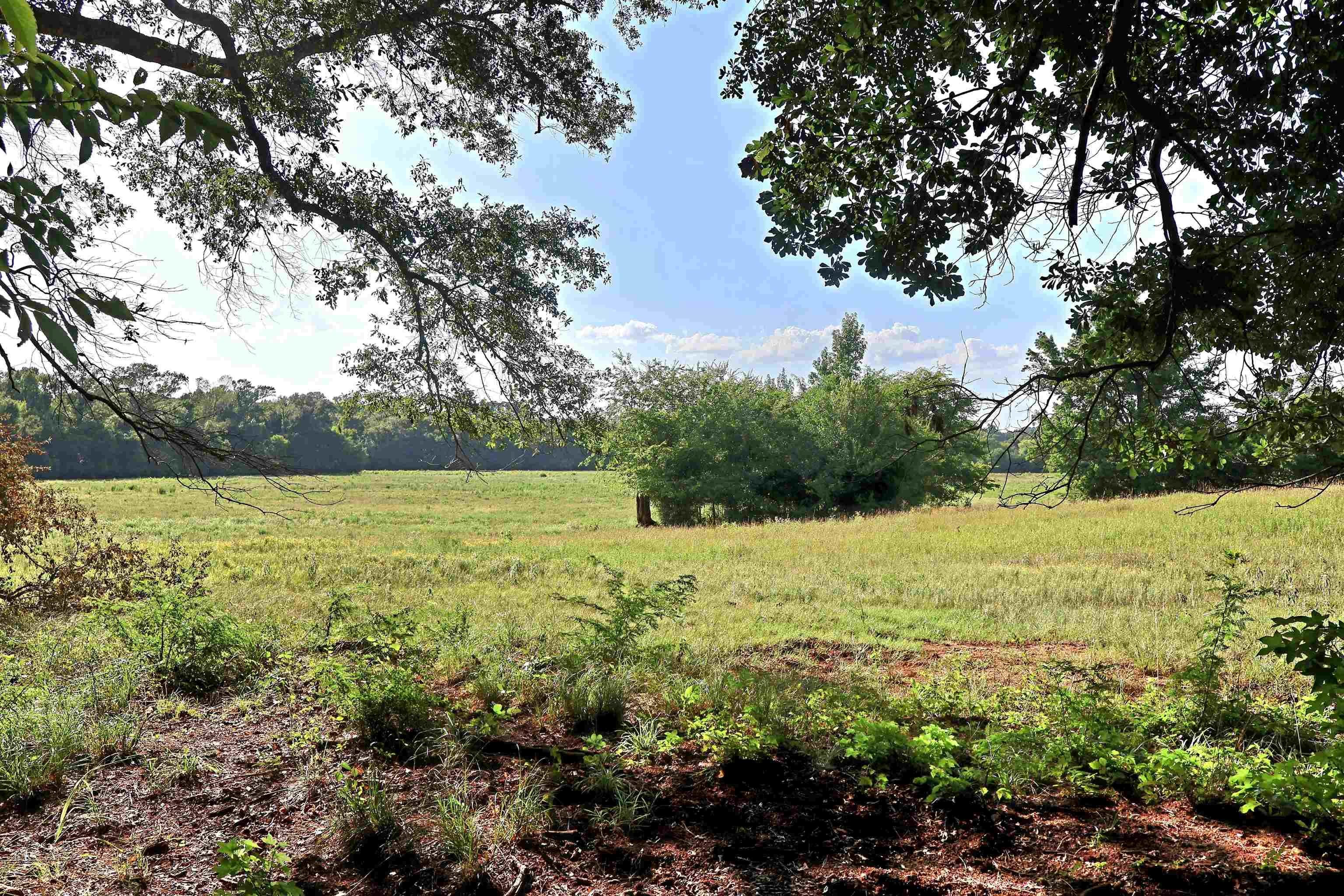 TBD COUNTY ROAD 1106
