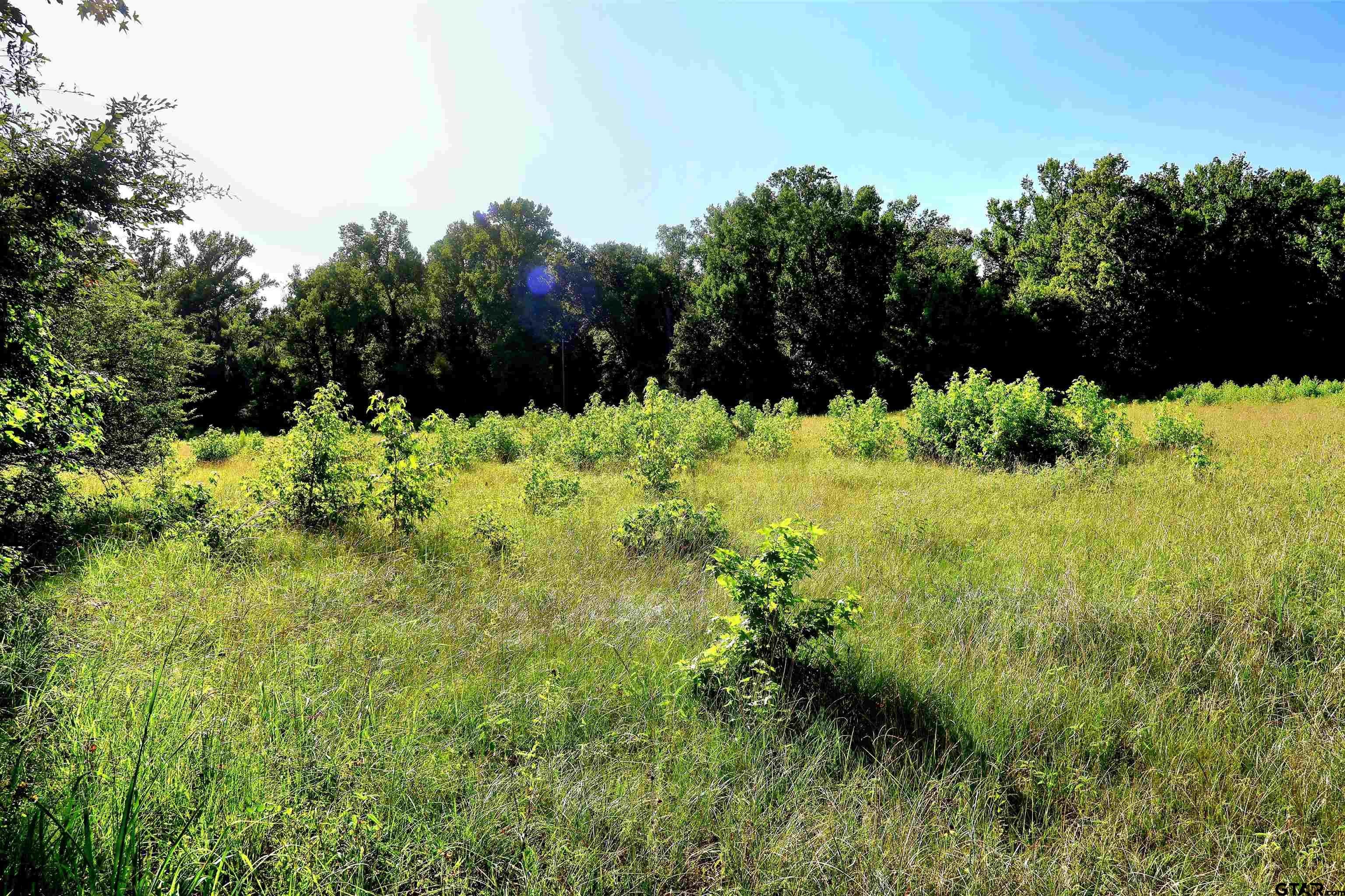 TBD COUNTY ROAD 1100