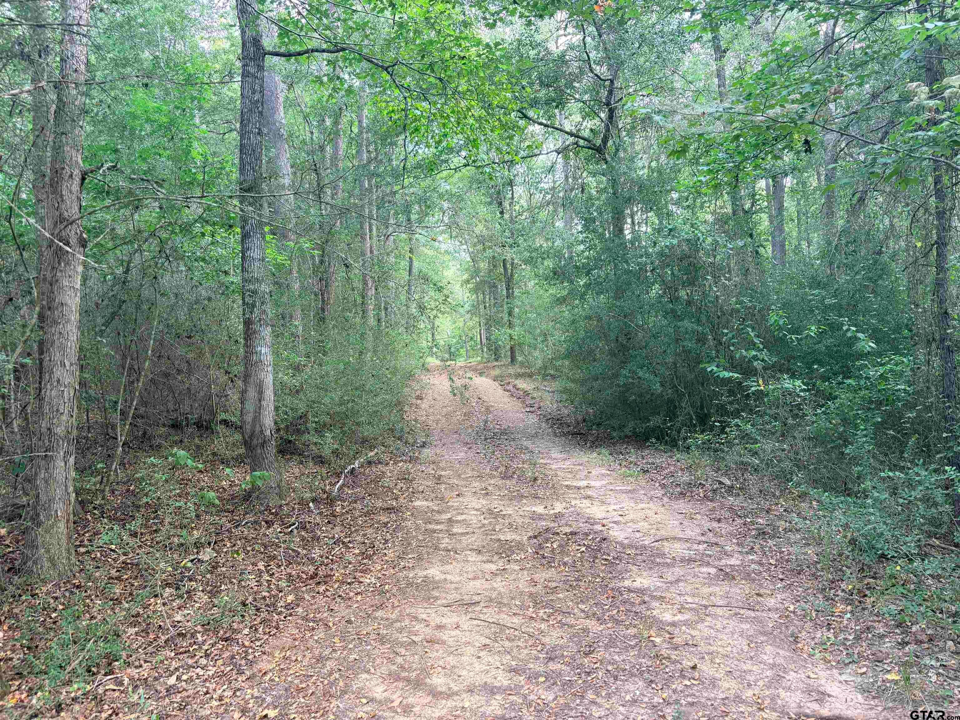 tbd 21.63 ACRES COUNTY ROAD 2125