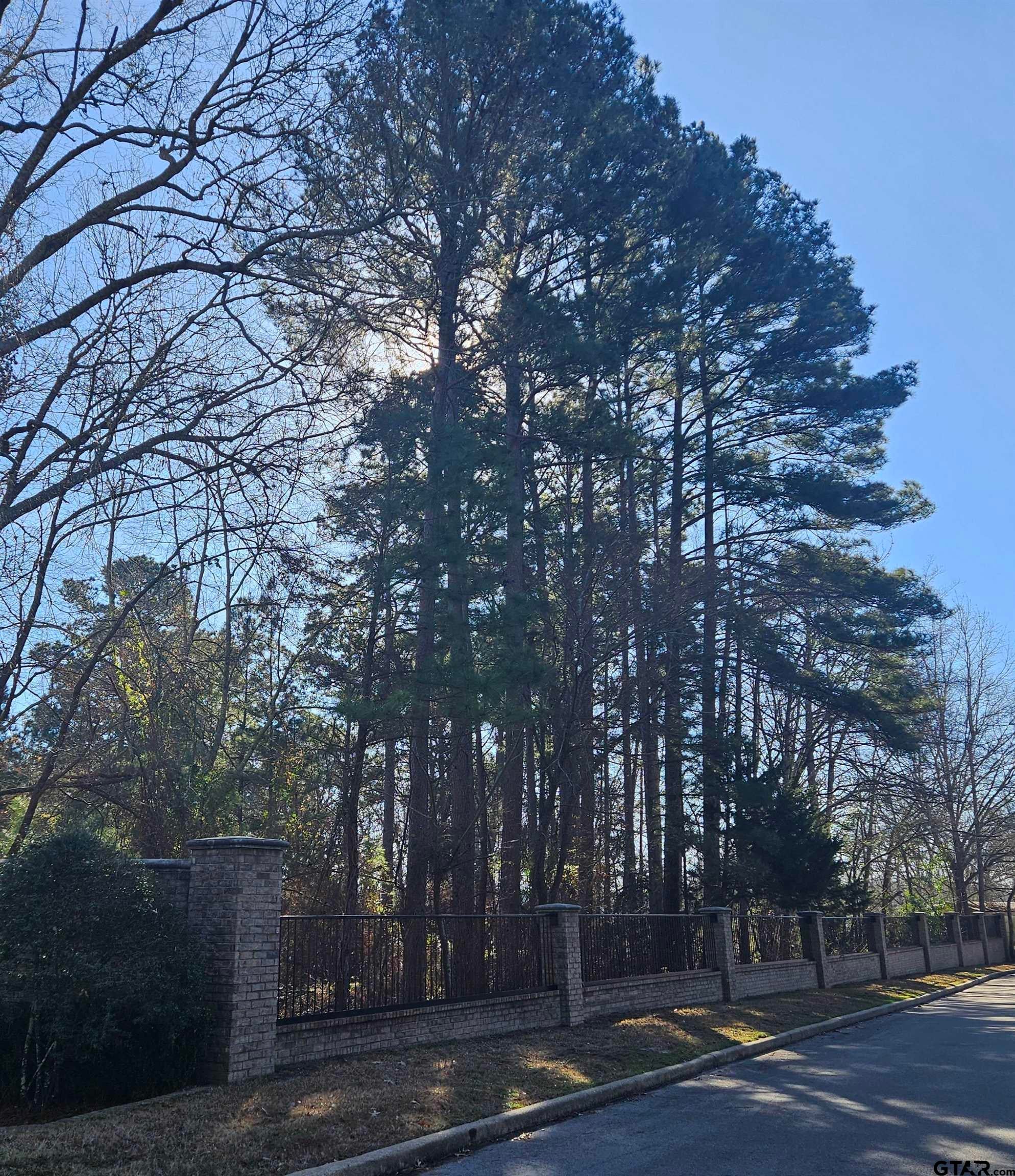 13311 White Tail Drive