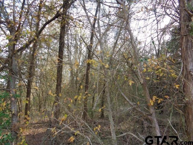 TBD CR 4870