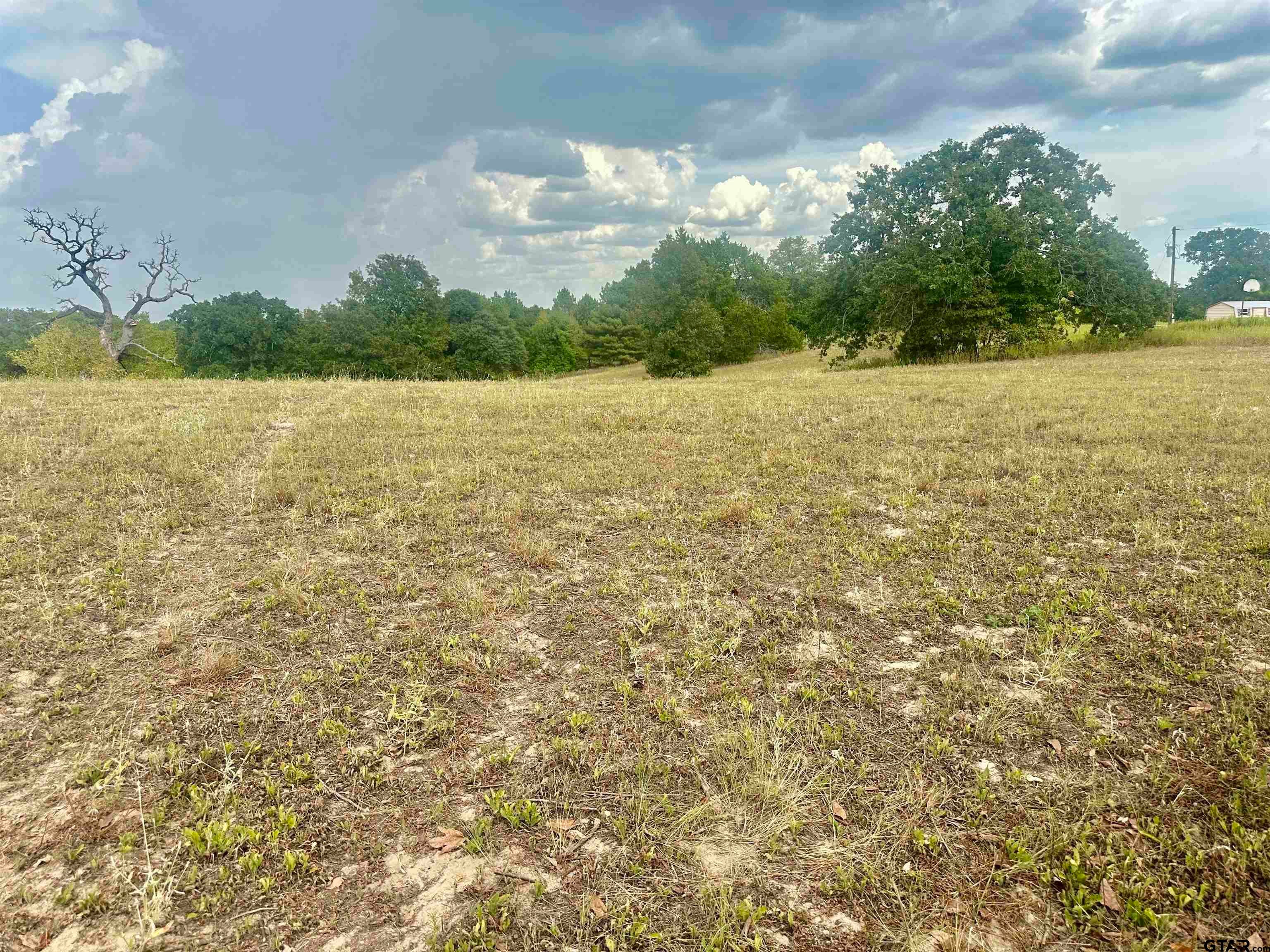 TBD 3520 Tract 2