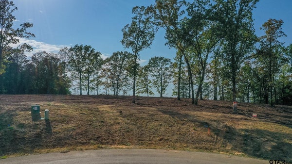 19478 CEDARPARK PL, LINDALE, TX 75771 - Image e9b05ddbfc4e29a36c55937a1977975e/3032073521