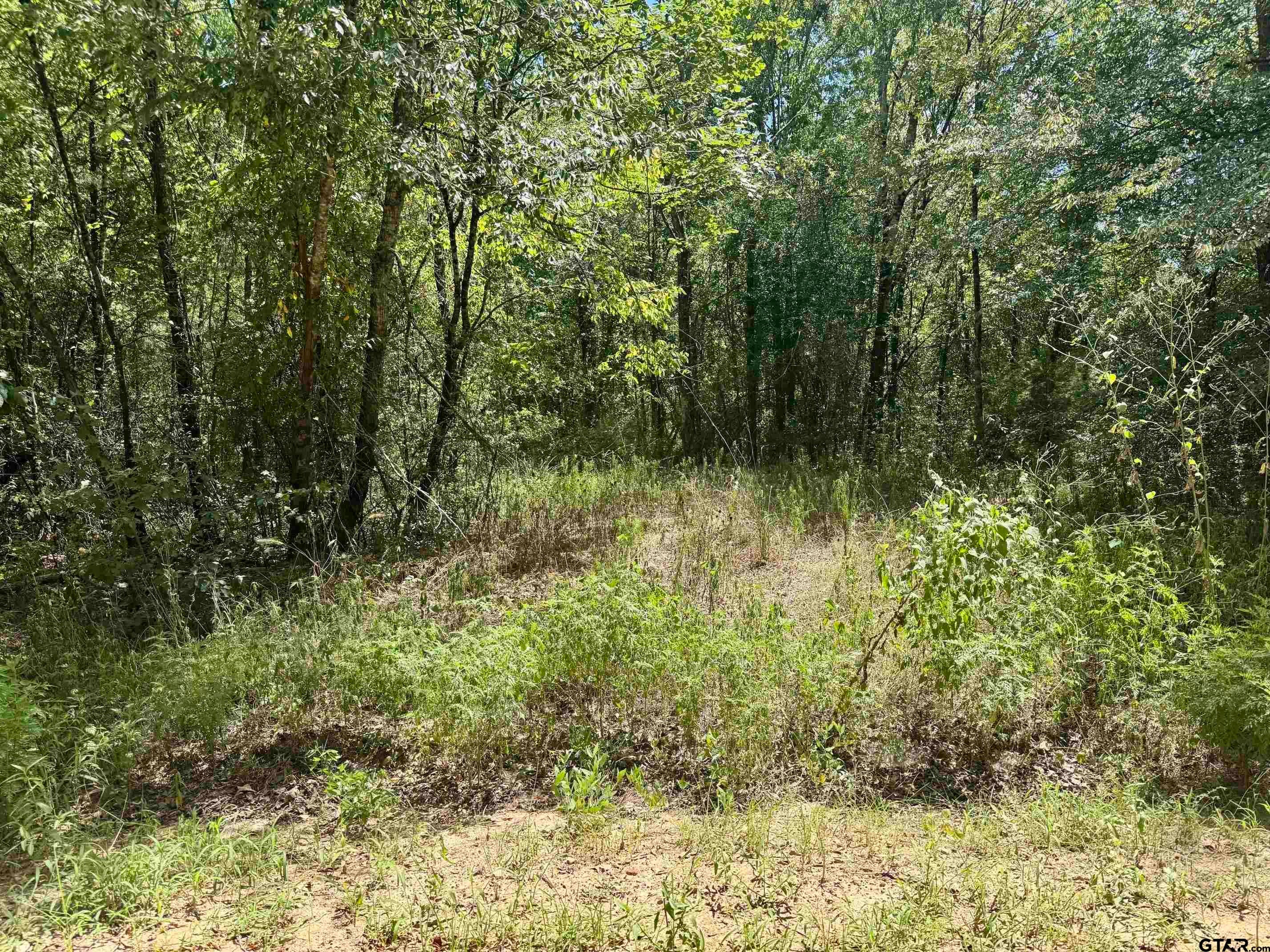 TBD CR 4545