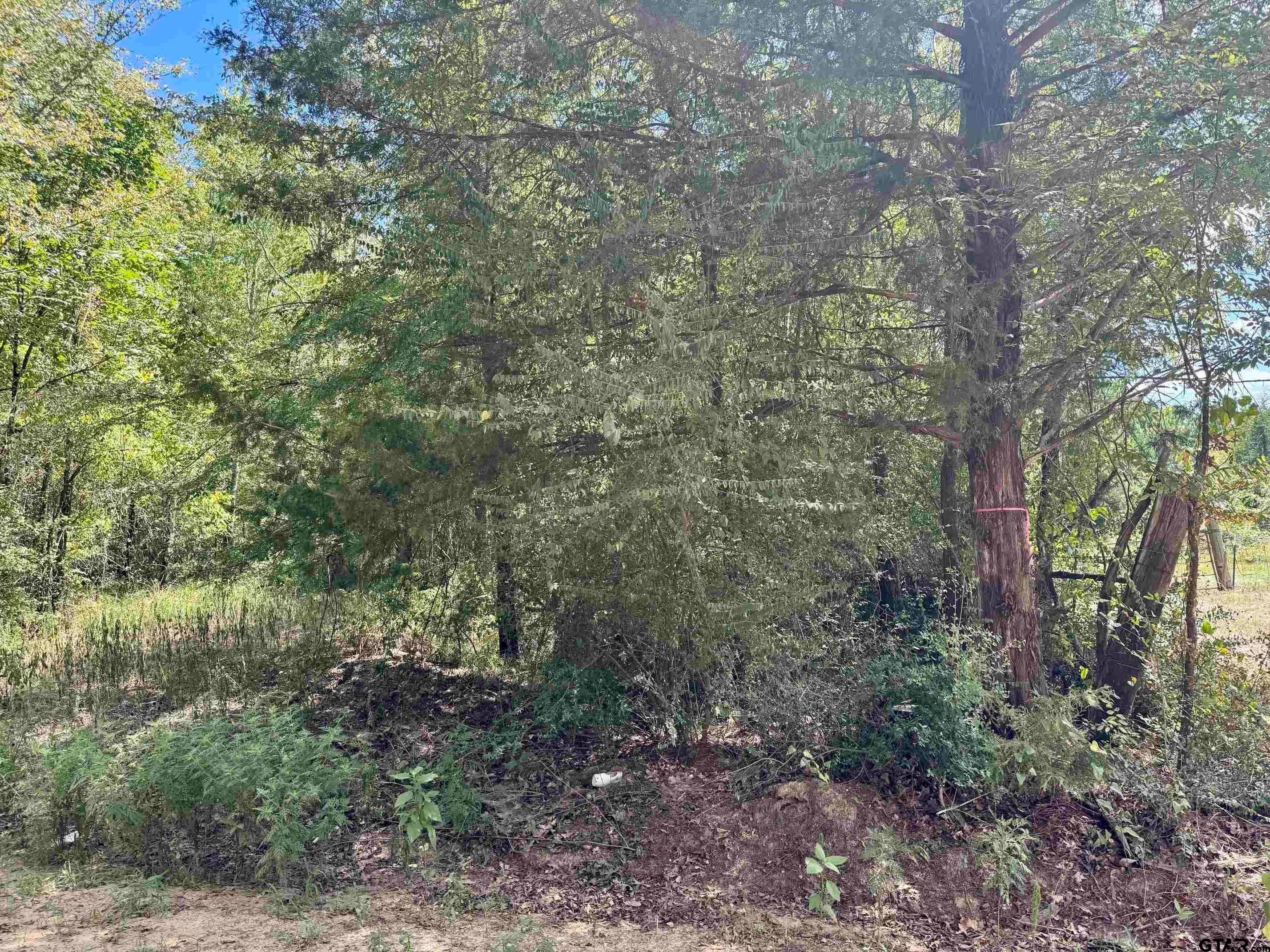 TBD CR 4545