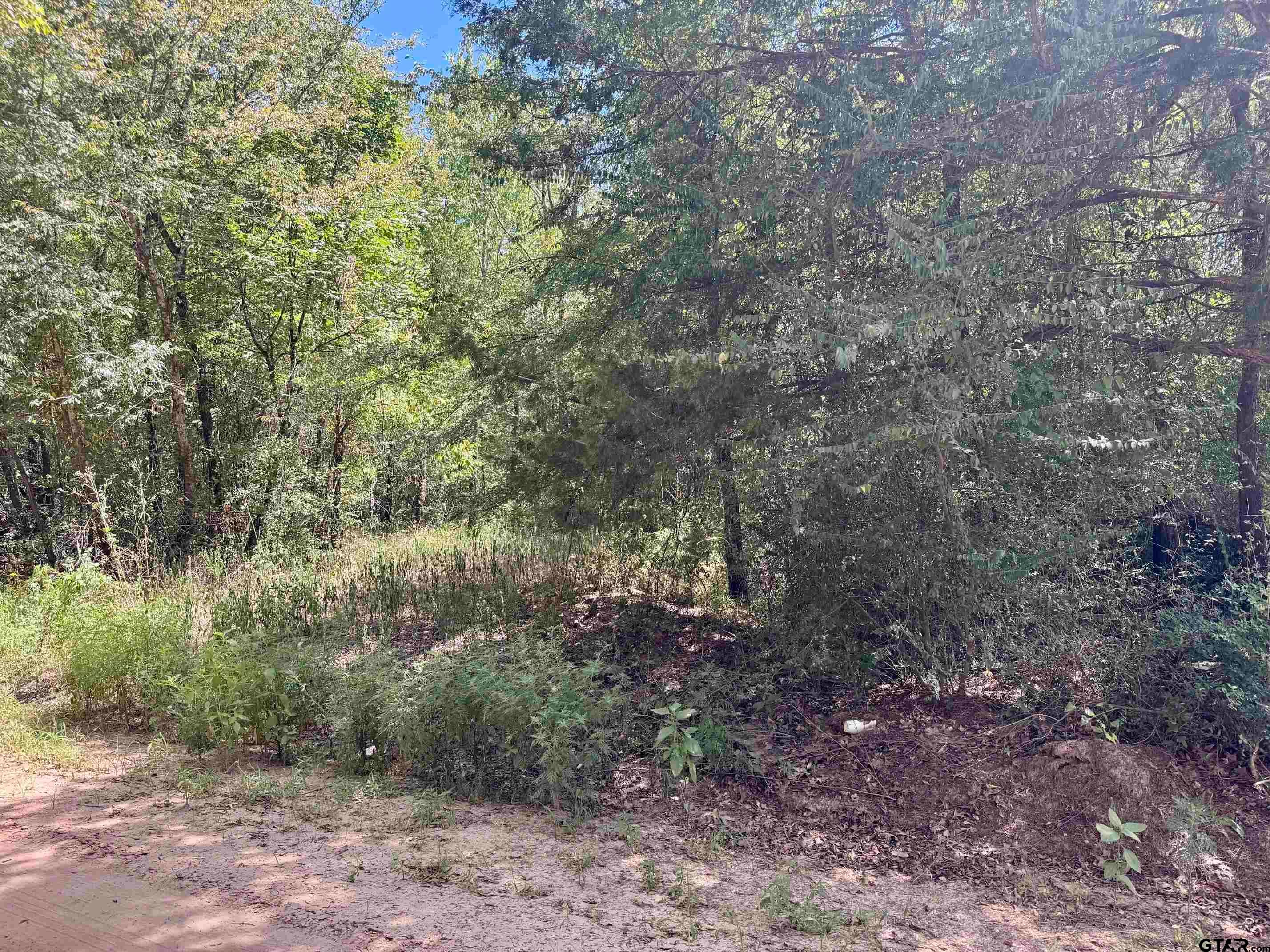 TBD CR 4545