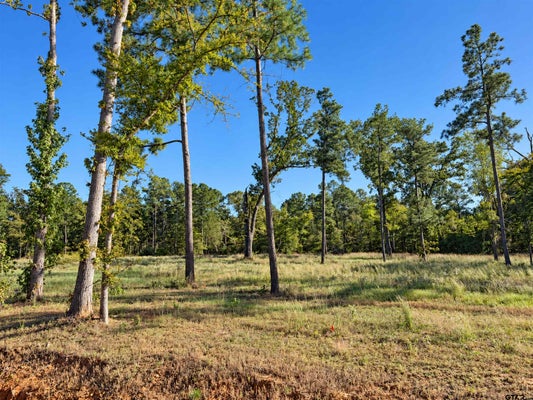 15923 ANISTON LN LOT 9, FLINT, TX 75762 - Image ea23cb3f05eedcecb668bf3b0596f492/1908158122