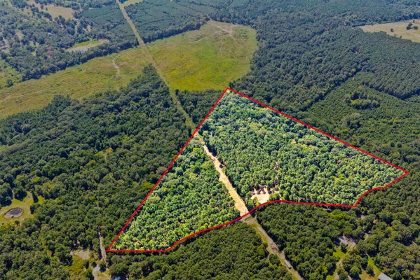 TBD COUNTY ROAD 1240, PITTSBURG, TX 75686 - Image ea3ea8a85799a8a4d9fce3be838b7ac4/2625514827