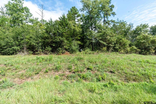 11274 MOSER LN, WHITEHOUSE, TX 75791 - Image ebca831f4079f6cab00dcecae27619d9/820162259