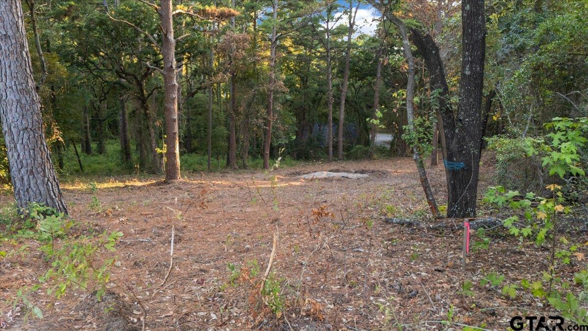 20722 Lakeview Dr.