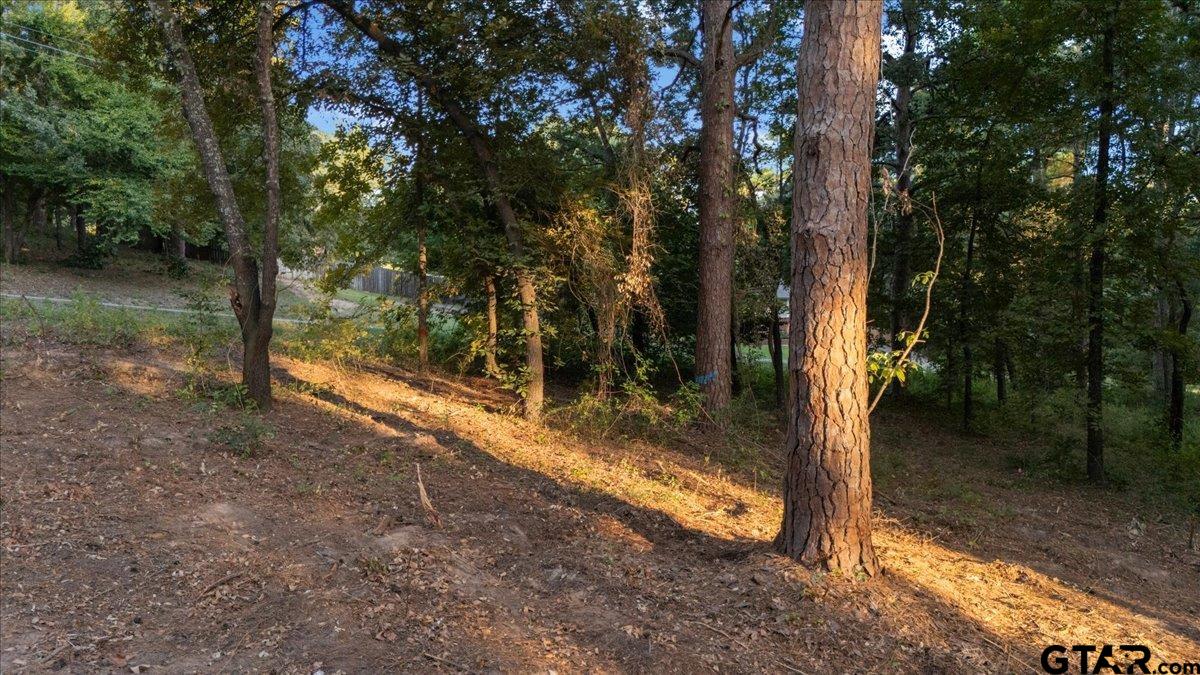 20722 Lakeview Dr.