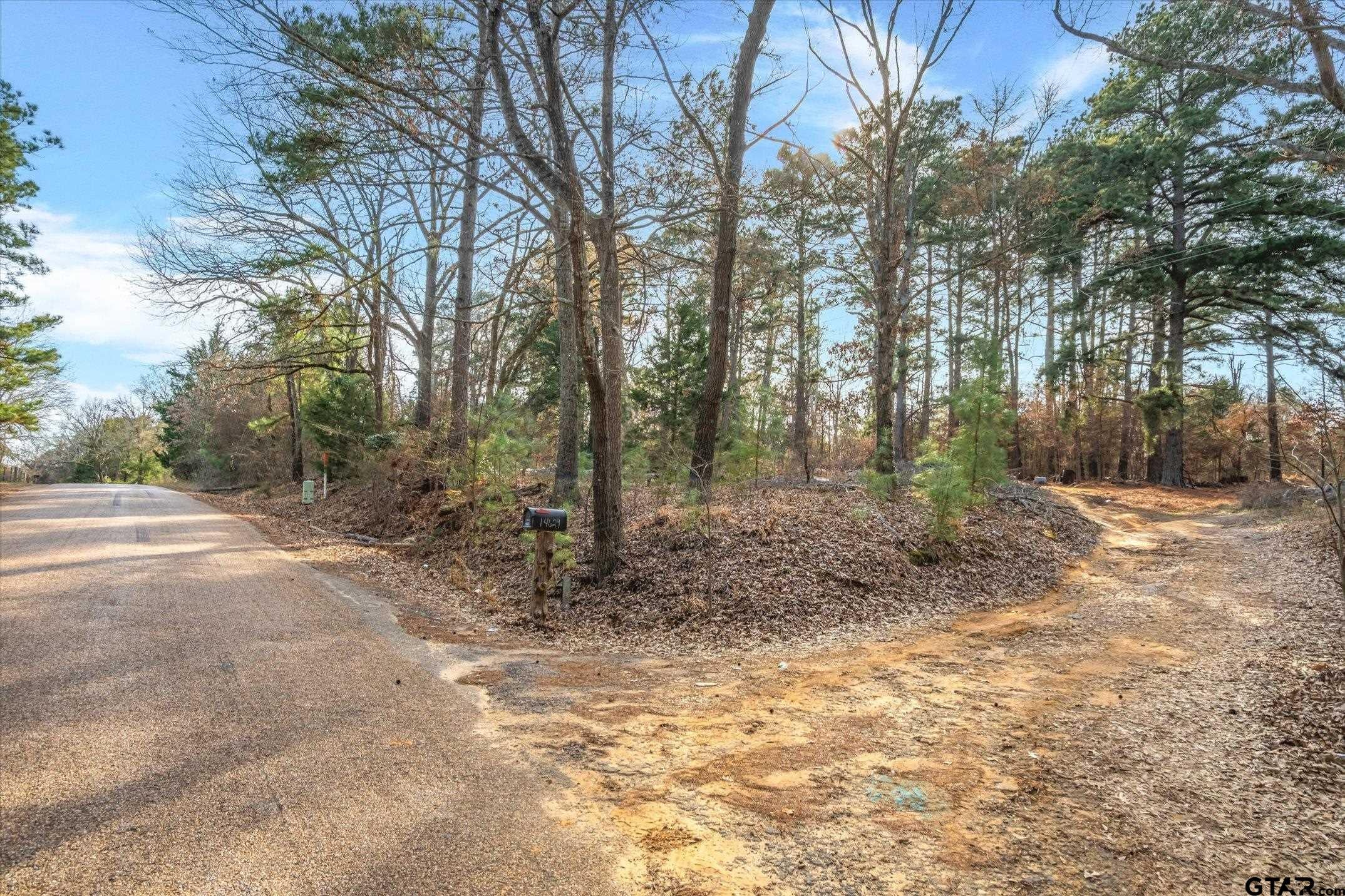 3.77 Acres County Road 3520