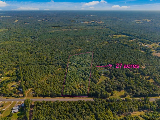 23791 STATE HWY 64 E, TROUP, TX 75789 - Image ee8891934444c3cdea8e4e60a2b3ae96/2437105996