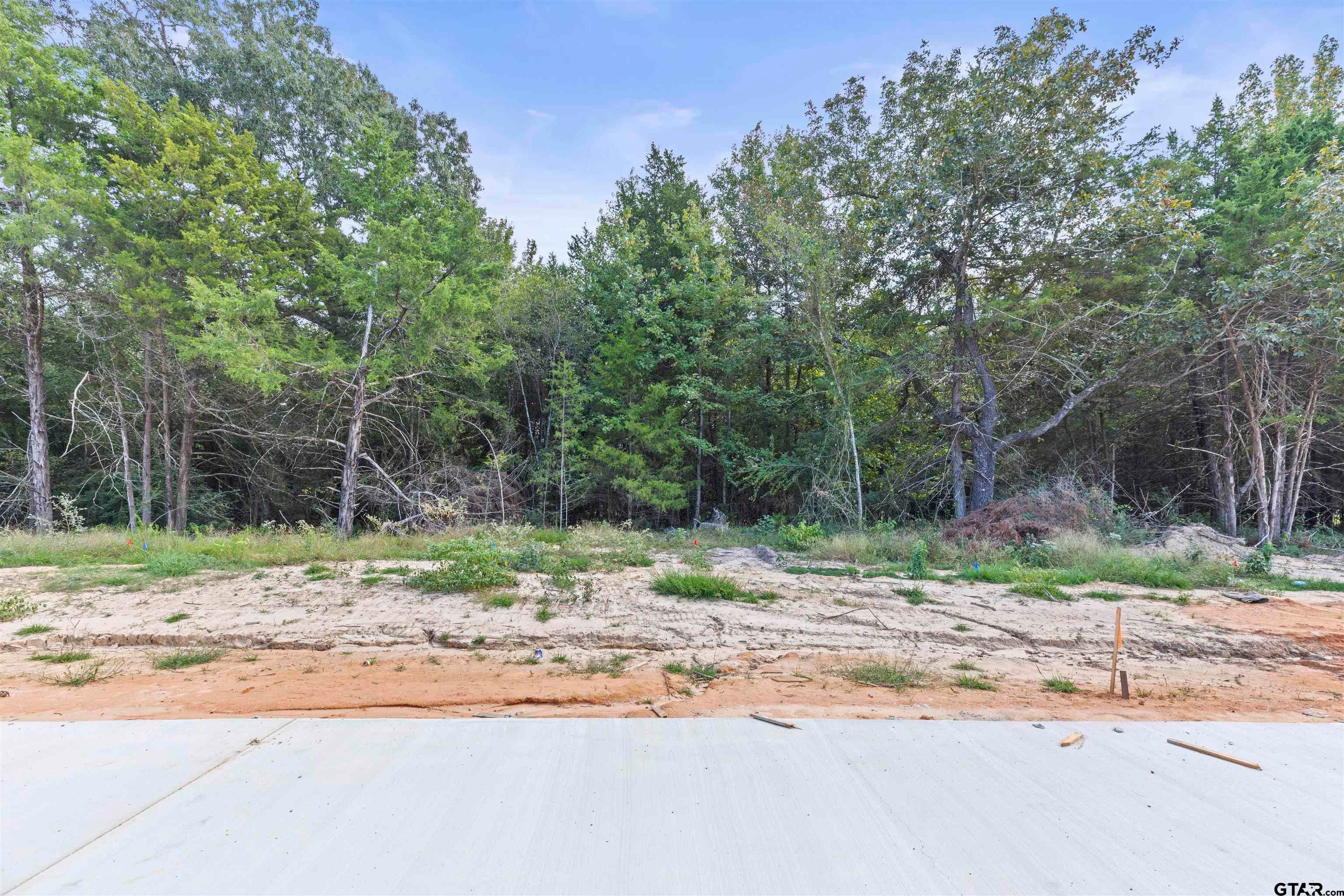13932 Cedar Hill Ln (Lindale ISD)