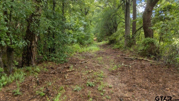 ADDRESS PRIVATE, CHANDLER, TX  - Image f070dac49b3dbc8ebafc037ecf9717d9/3953127286