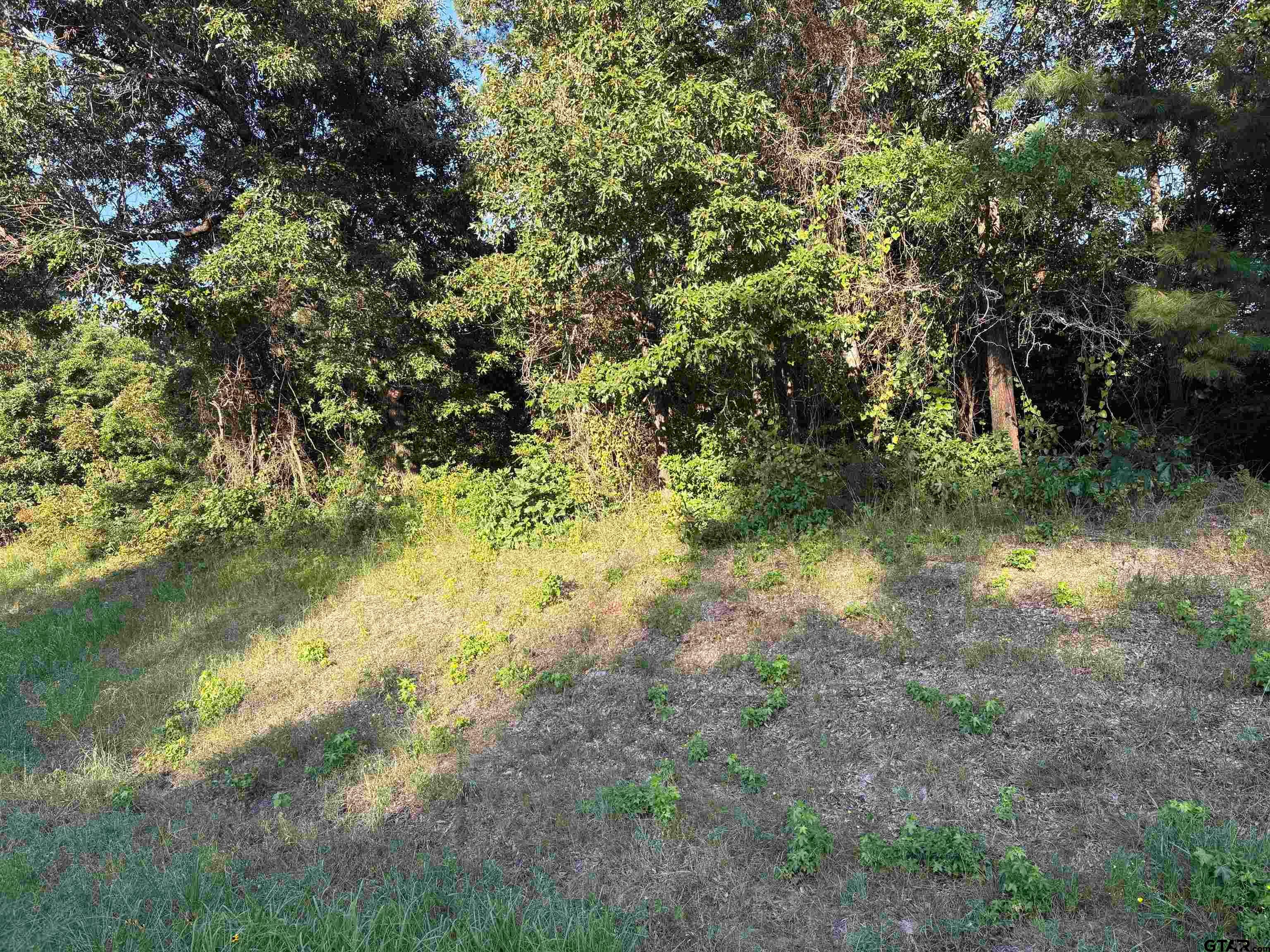 15531 Hwy 135