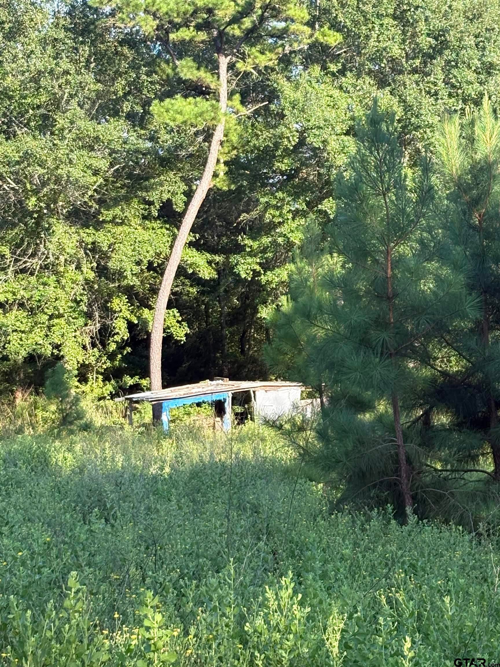 15531 Hwy 135