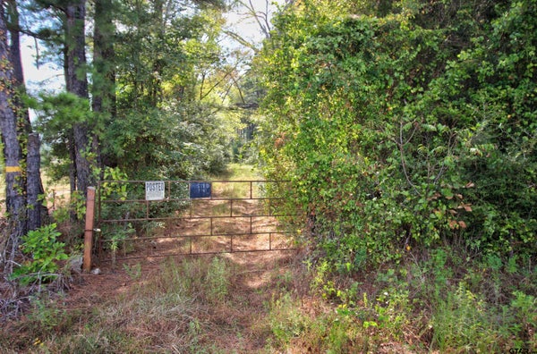 221 COUNTY RD 2920, RUSK, TX 75785 - Image f364227ee4e6d077bc35eddda3ede985/101011622