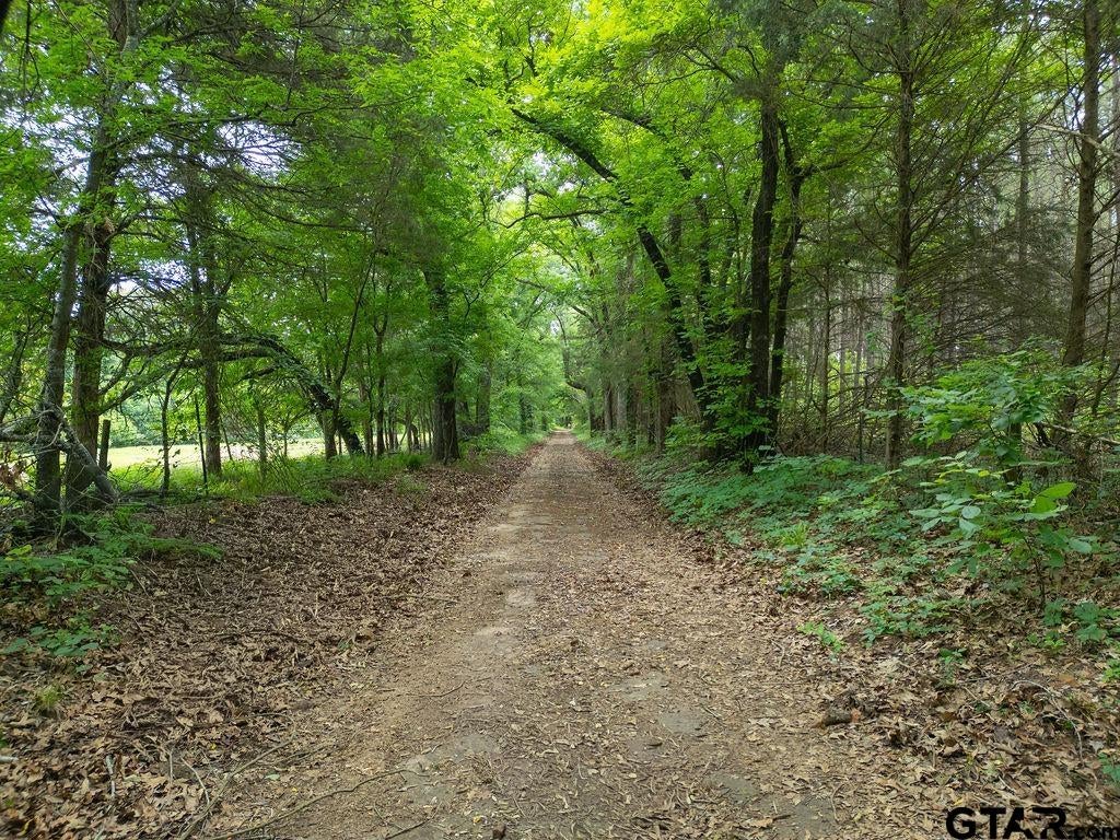 13130 County Road 4124