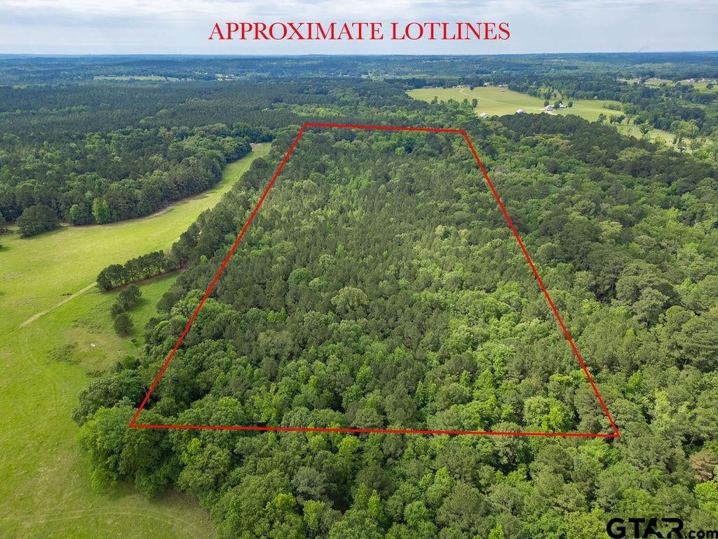 13130 County Road 4124