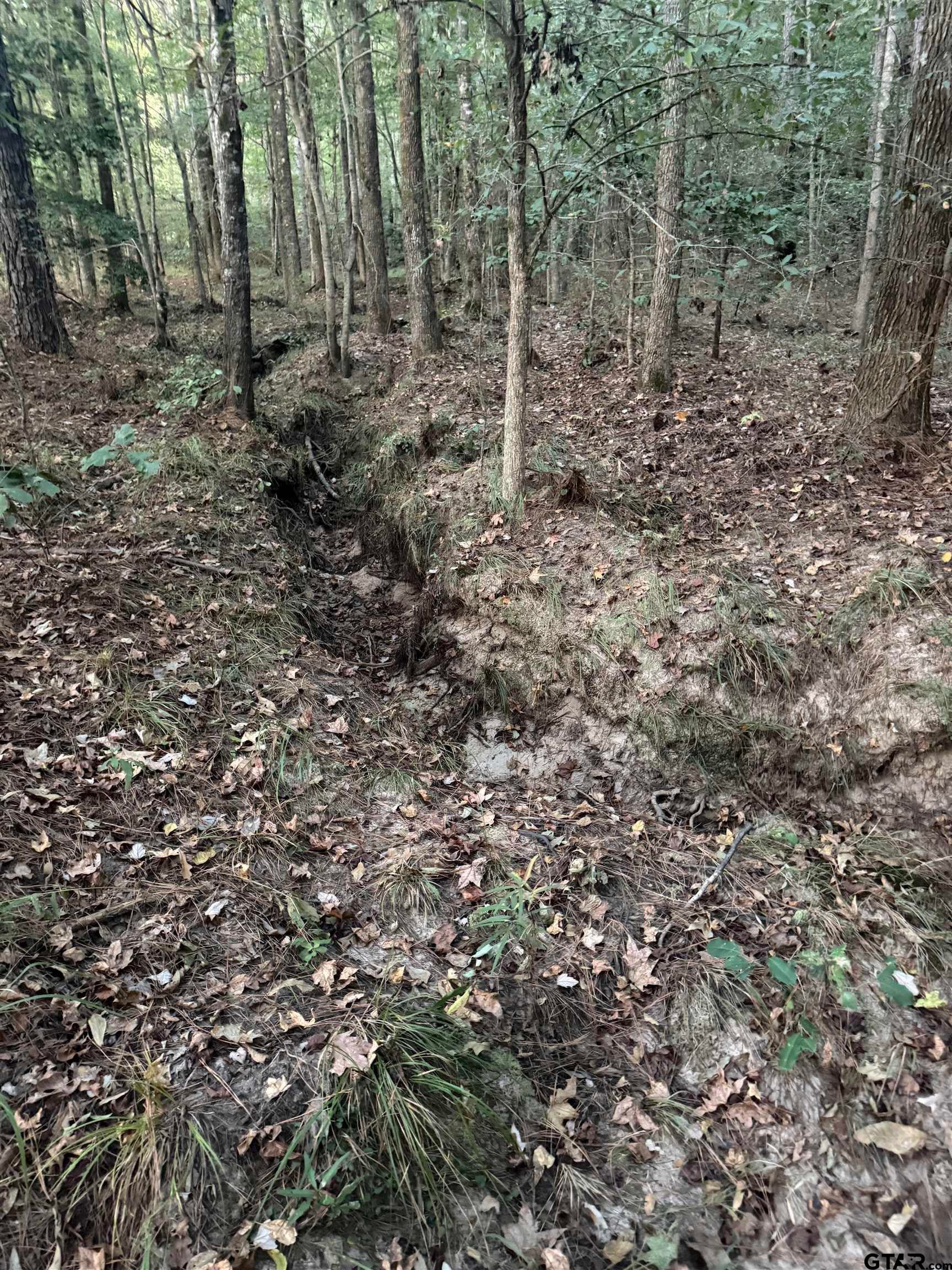 0000 County Rd 1896