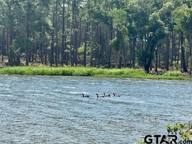 Lot 52 Oak River