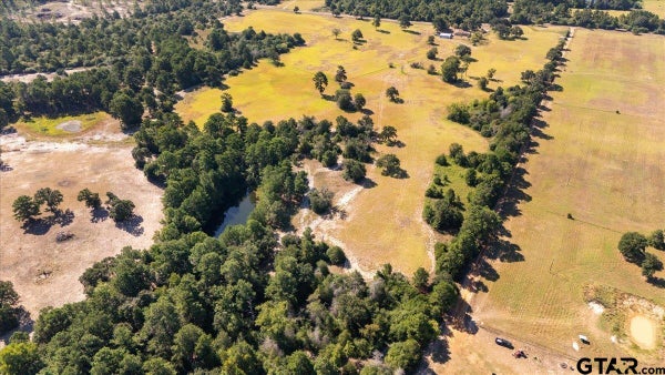 1000 AN COUNTY ROAD 1208, GRAPELAND, TX 75844 - Image f4d2ea415c72d0052461e7ca00aa6dc7/1381992171