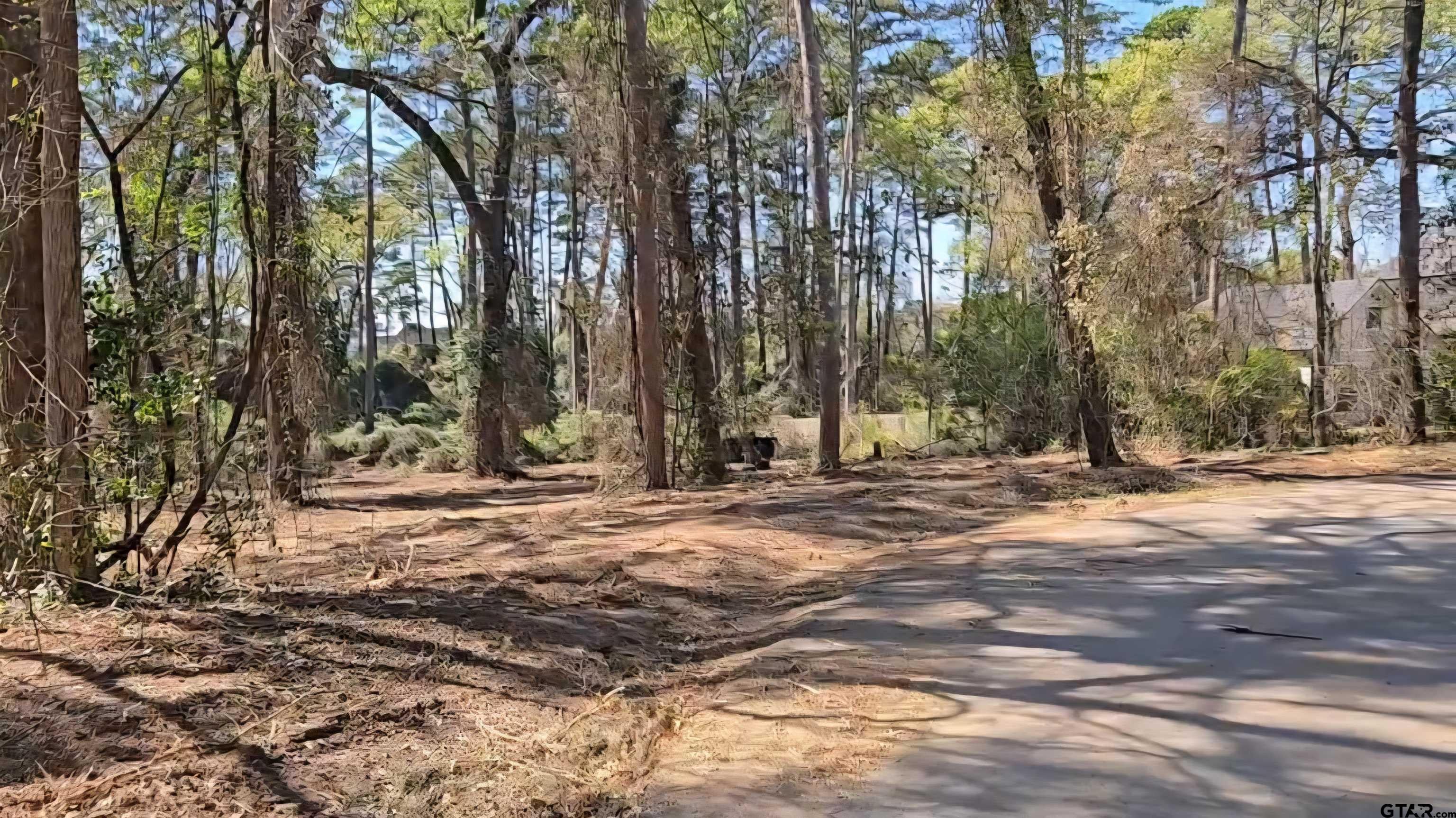 Lot 6 Hickory Lane