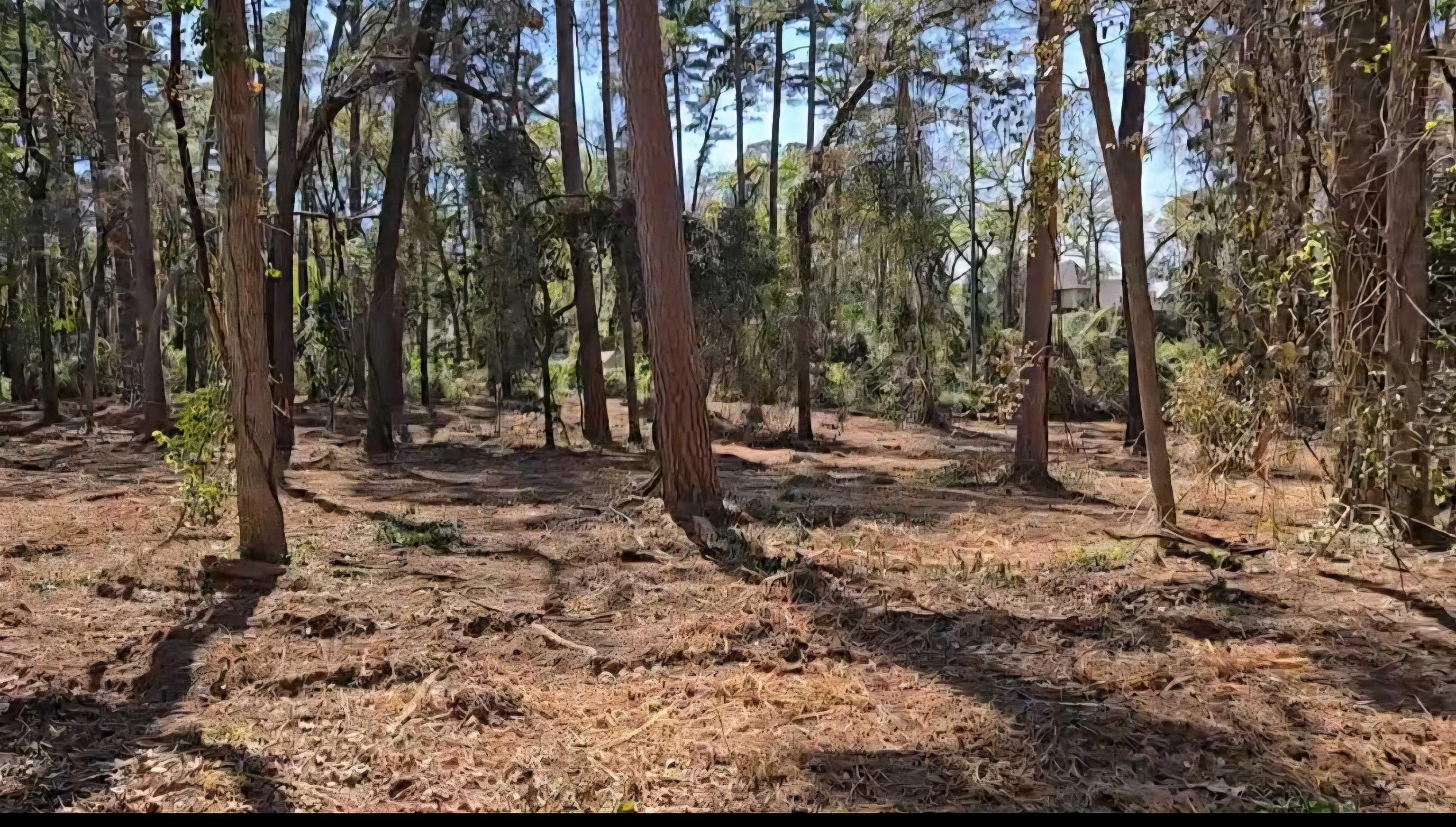 Lot 6 Hickory Lane