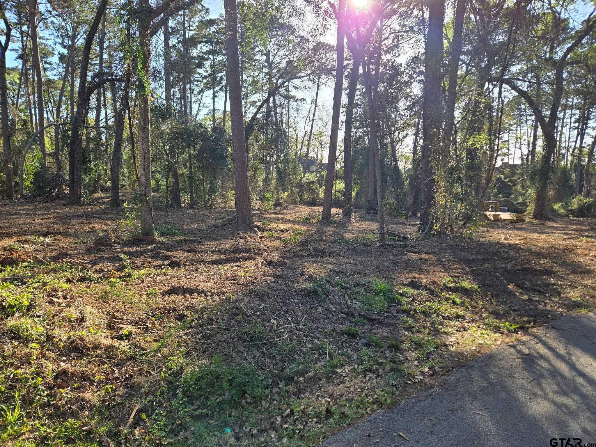 Lot 6 Hickory Lane