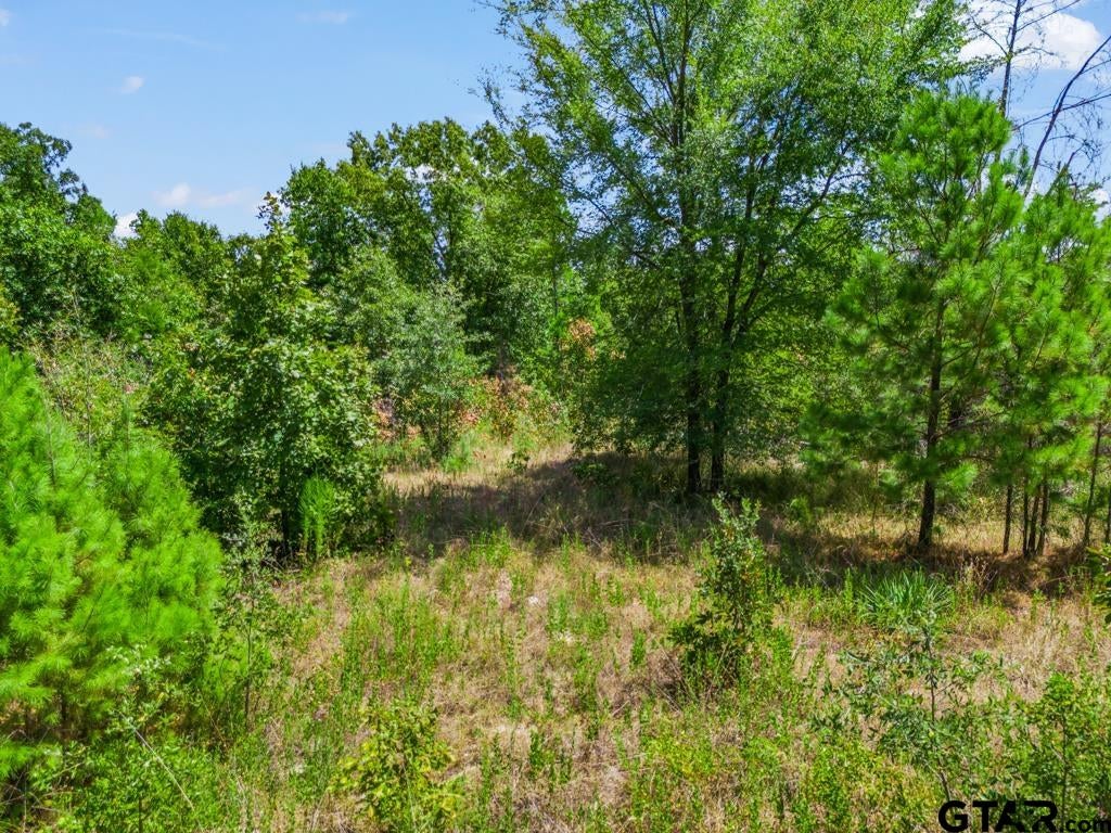 TBD CR 3854 4.542 Acres