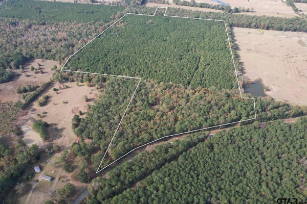 BOGGY RD, WASKOM, TX 75692 - Image faf39ef2ee0f164b82603eeec80ca2e3/3547368711