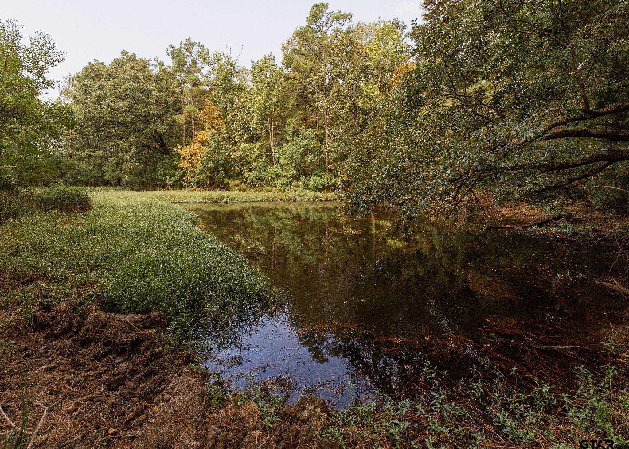 000 County Road 4694