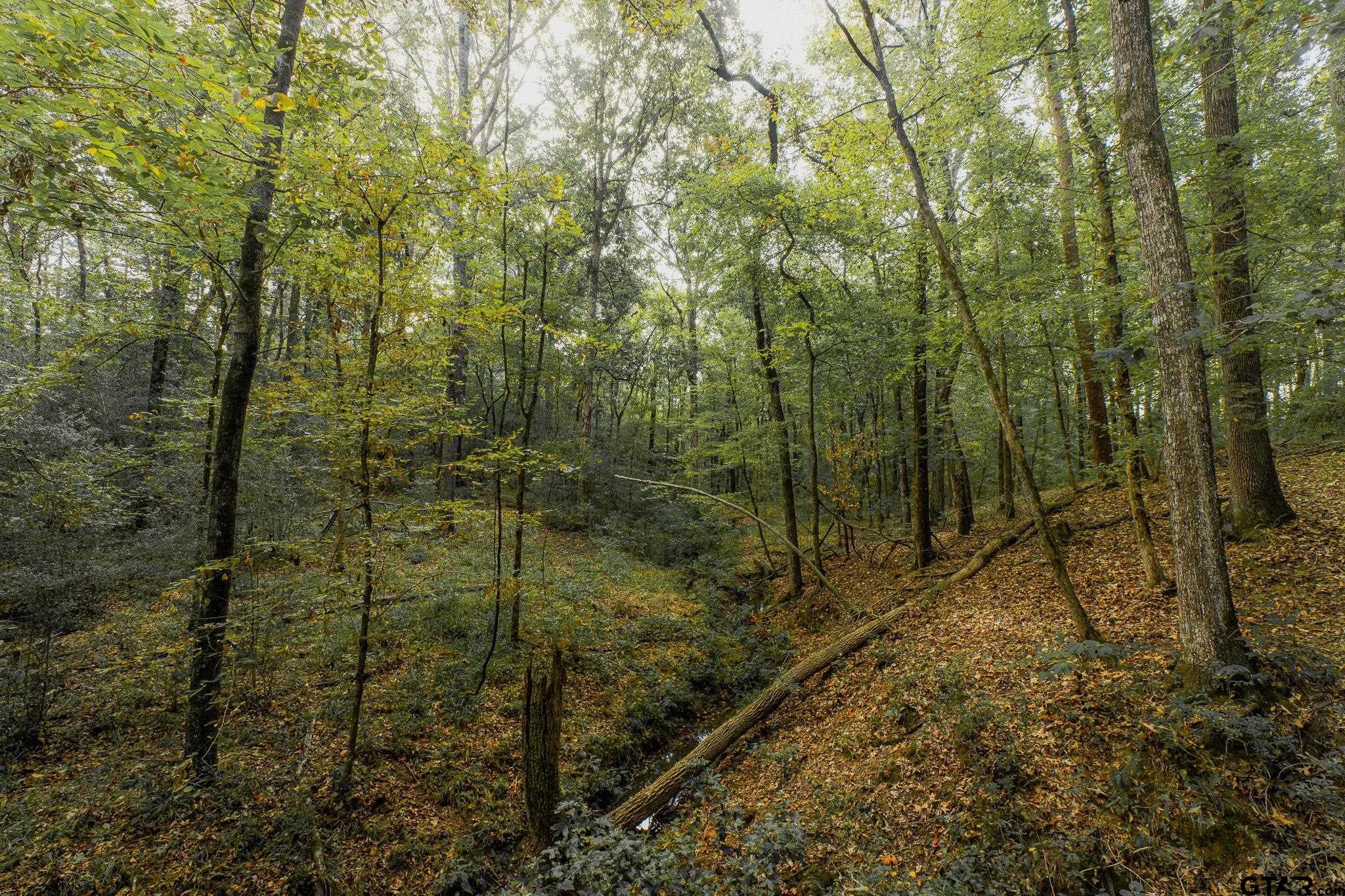 000 County Road 4694