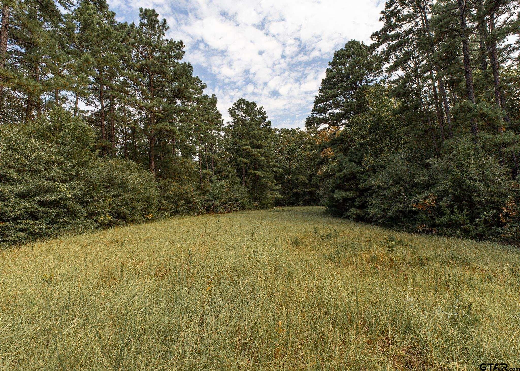 000 County Road 4694