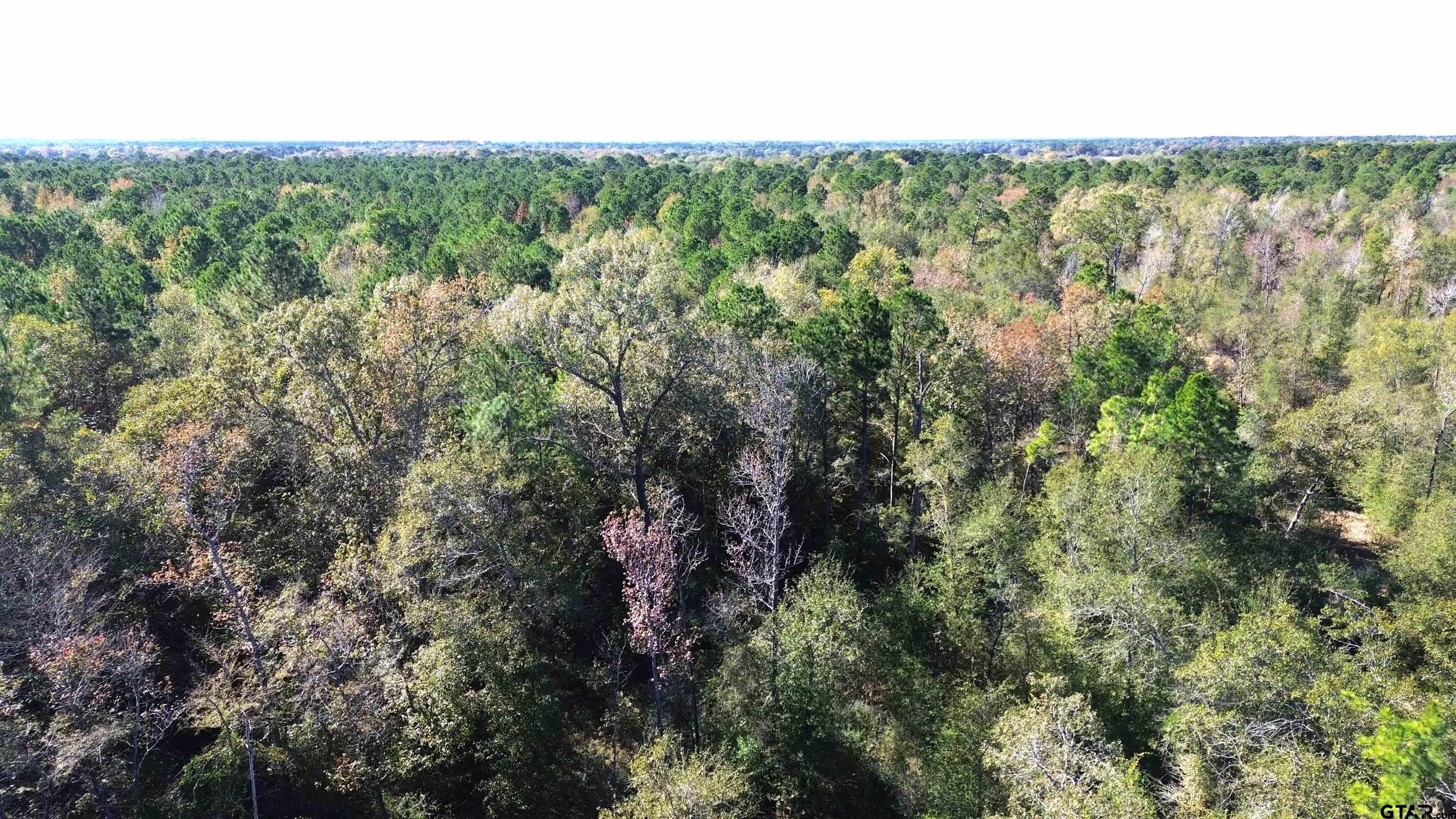 TBD FM 1280 East