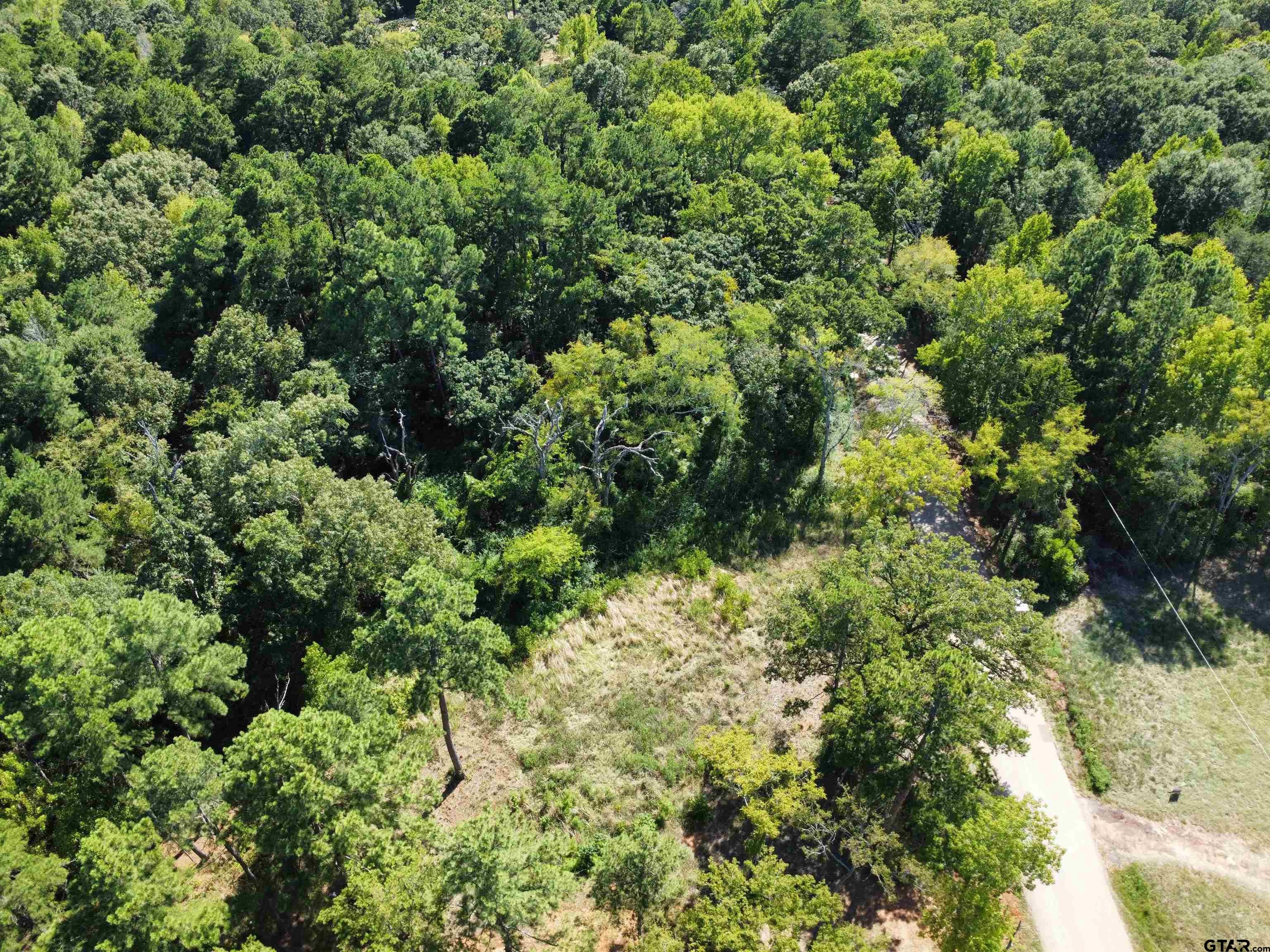 10499 COUNTY ROAD 1111