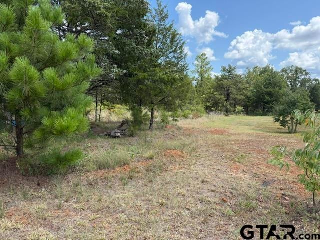 15458 Prayer Mountain Ct.