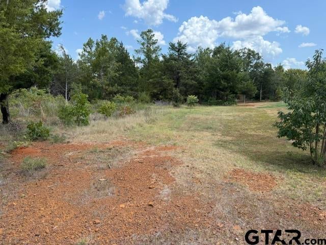 15458 Prayer Mountain Ct.