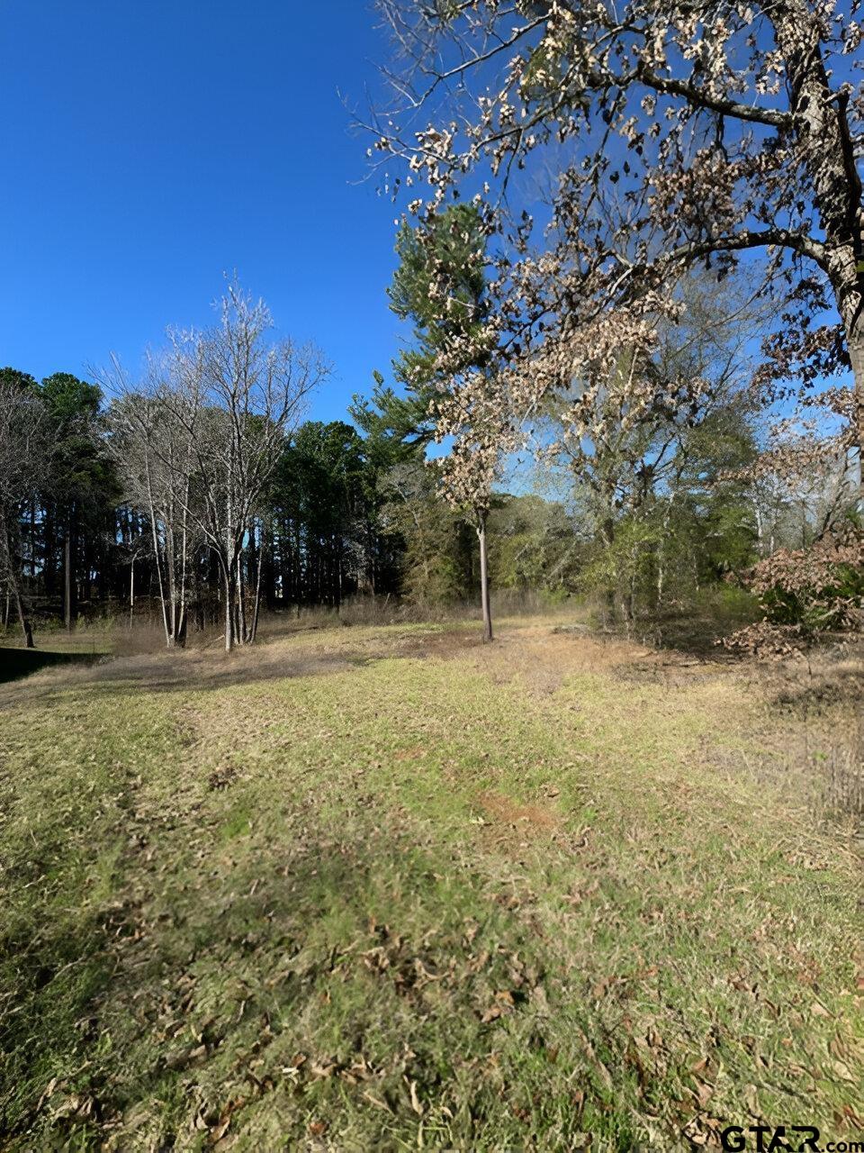 Lot 3 Berrycreek Circle
