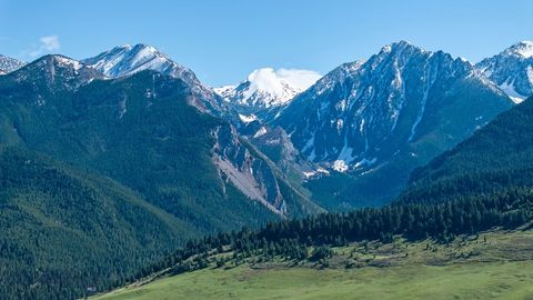 Photo of TBT Bruffy, Livingston, MT 59047 (MLS # 397911)