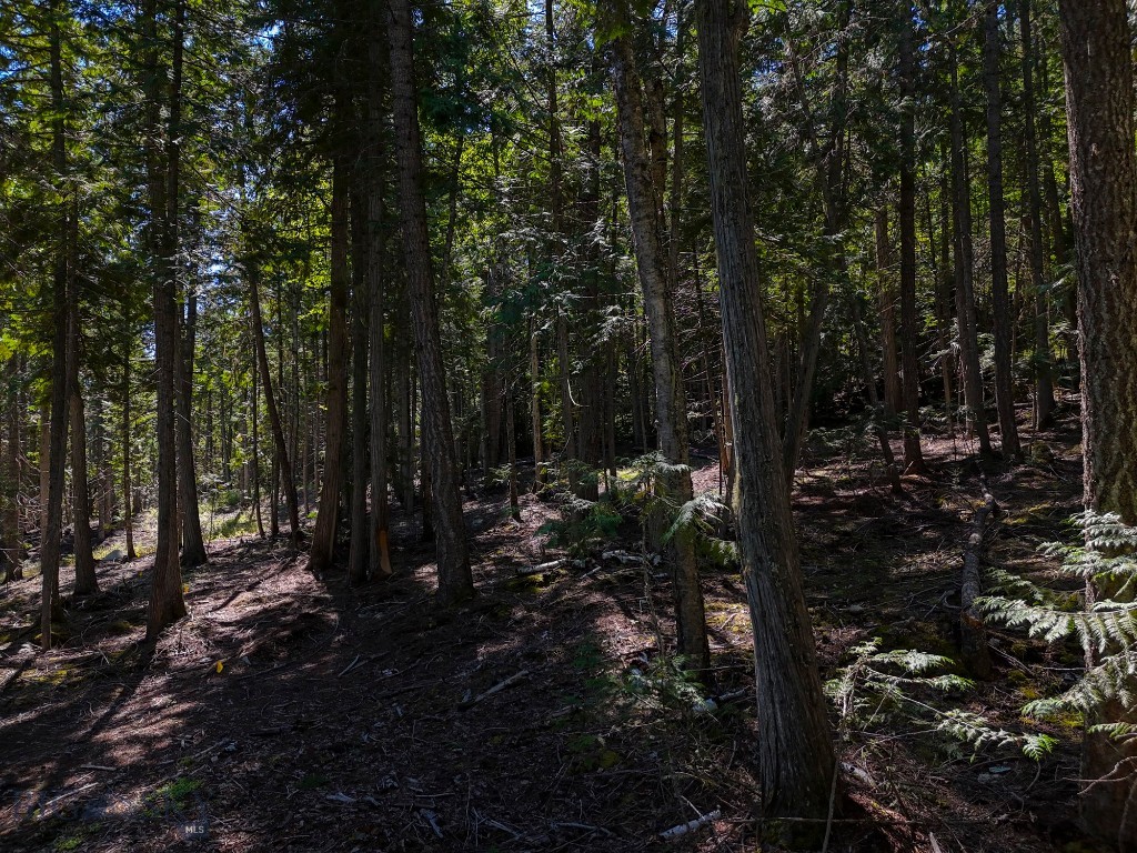 Other - Land
