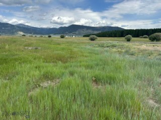 Hebgen Lake Estates - Land